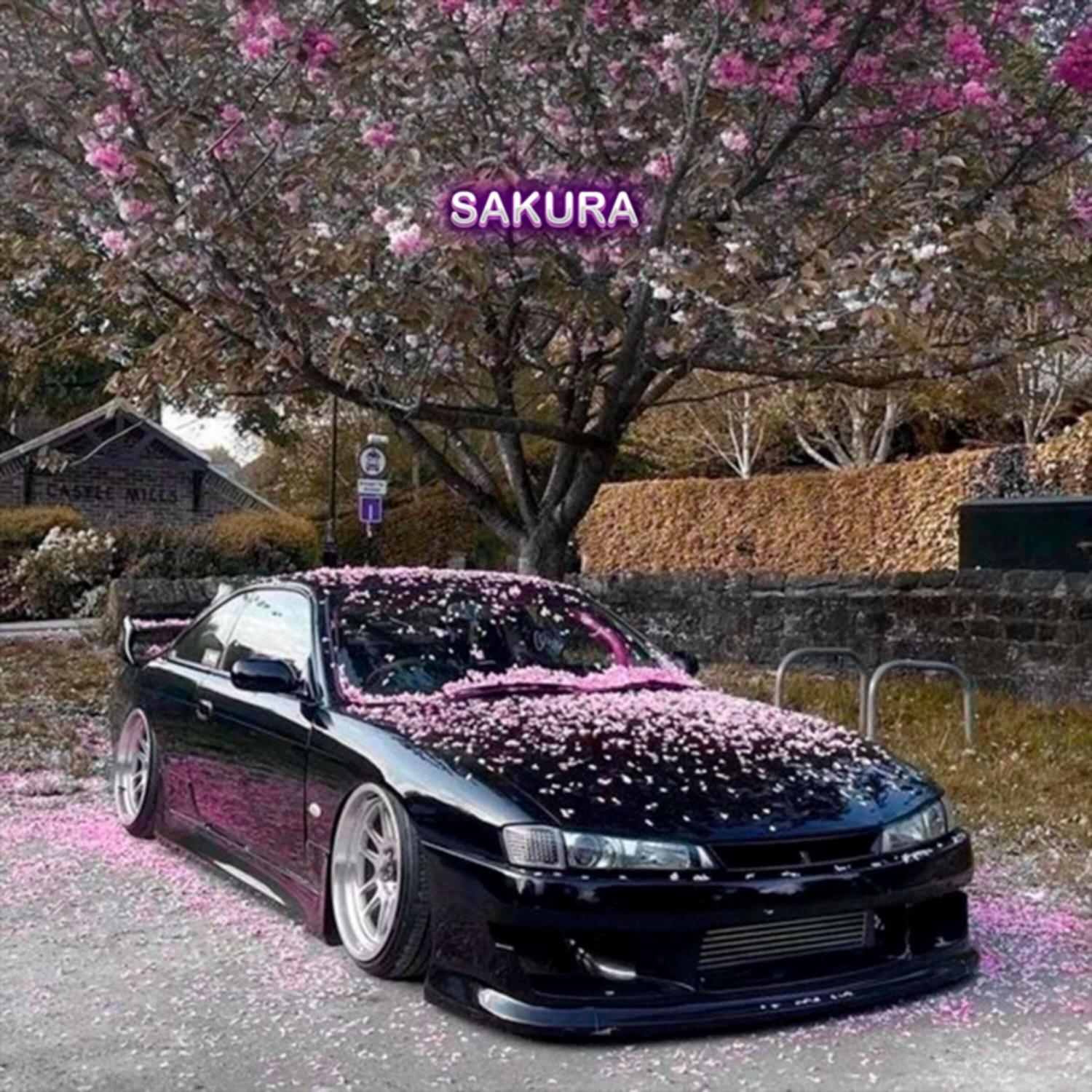 Постер альбома sakura