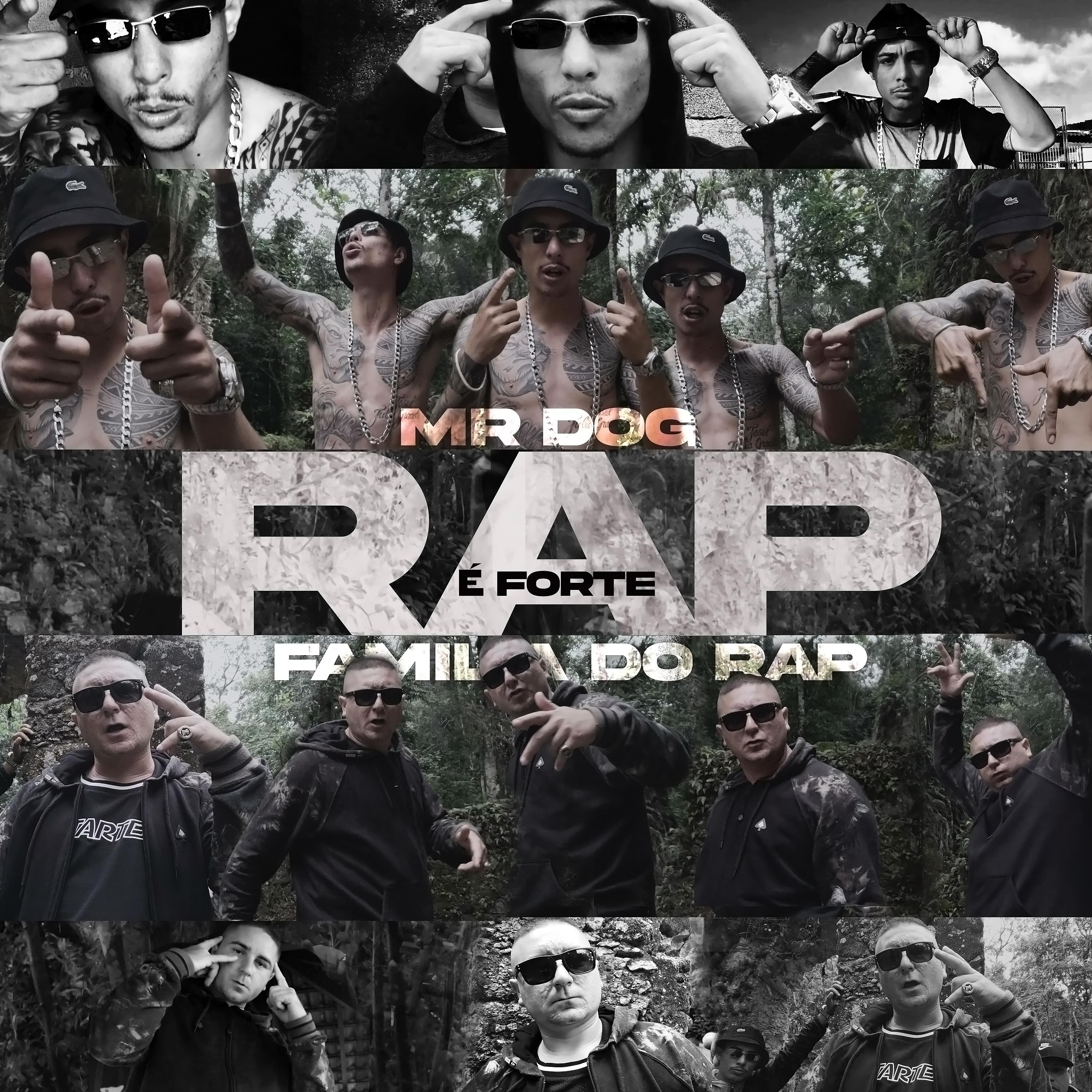 Постер альбома Rap É Forte