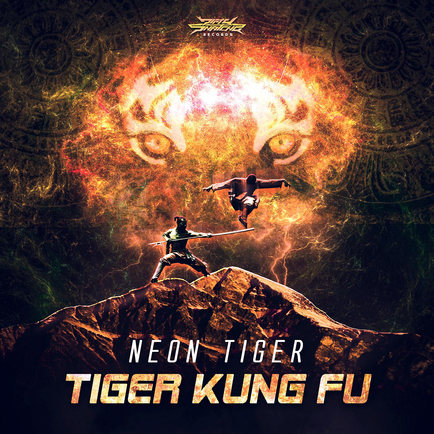 Постер альбома Tiger Kung Fu