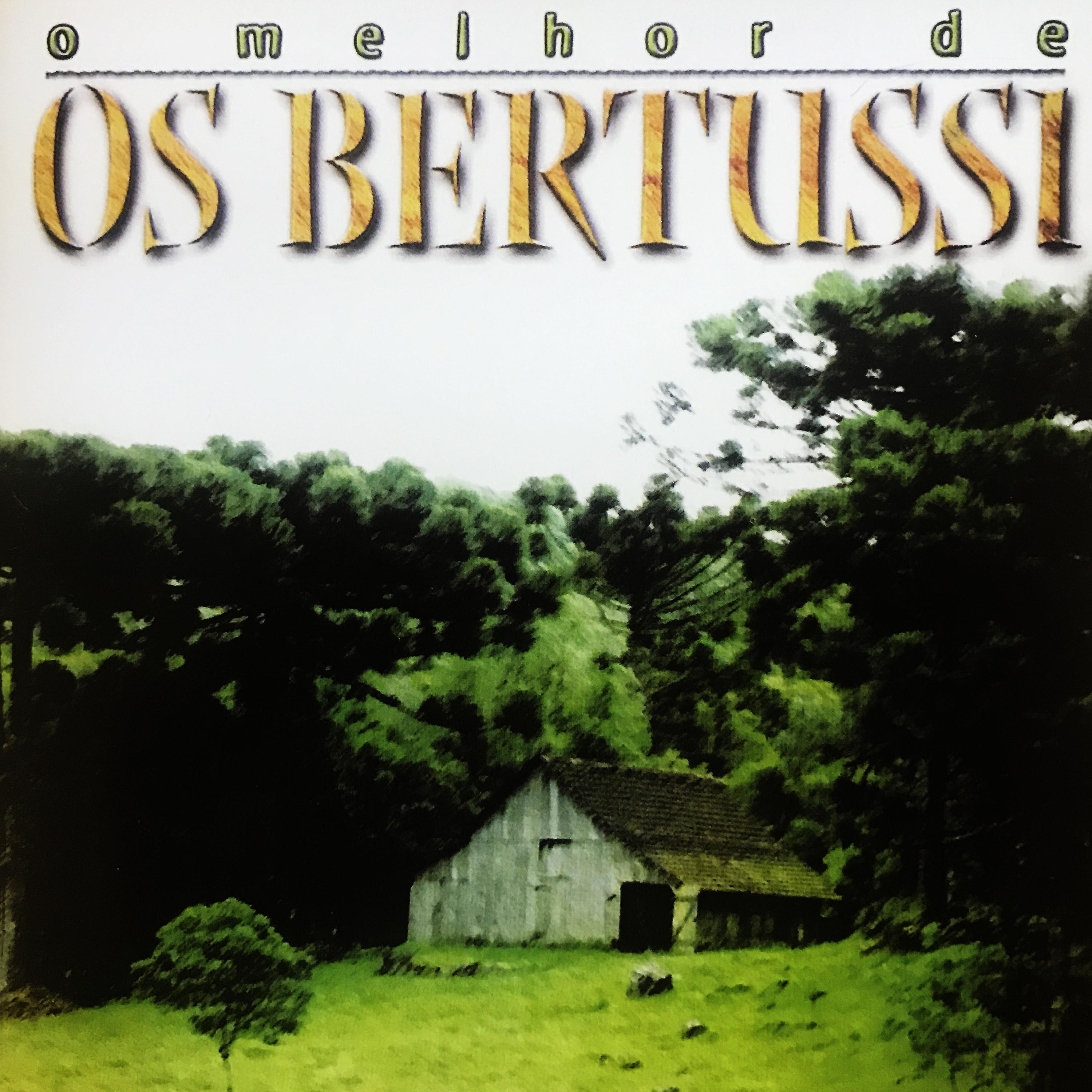 Постер альбома O Melhor de Os Bertussi