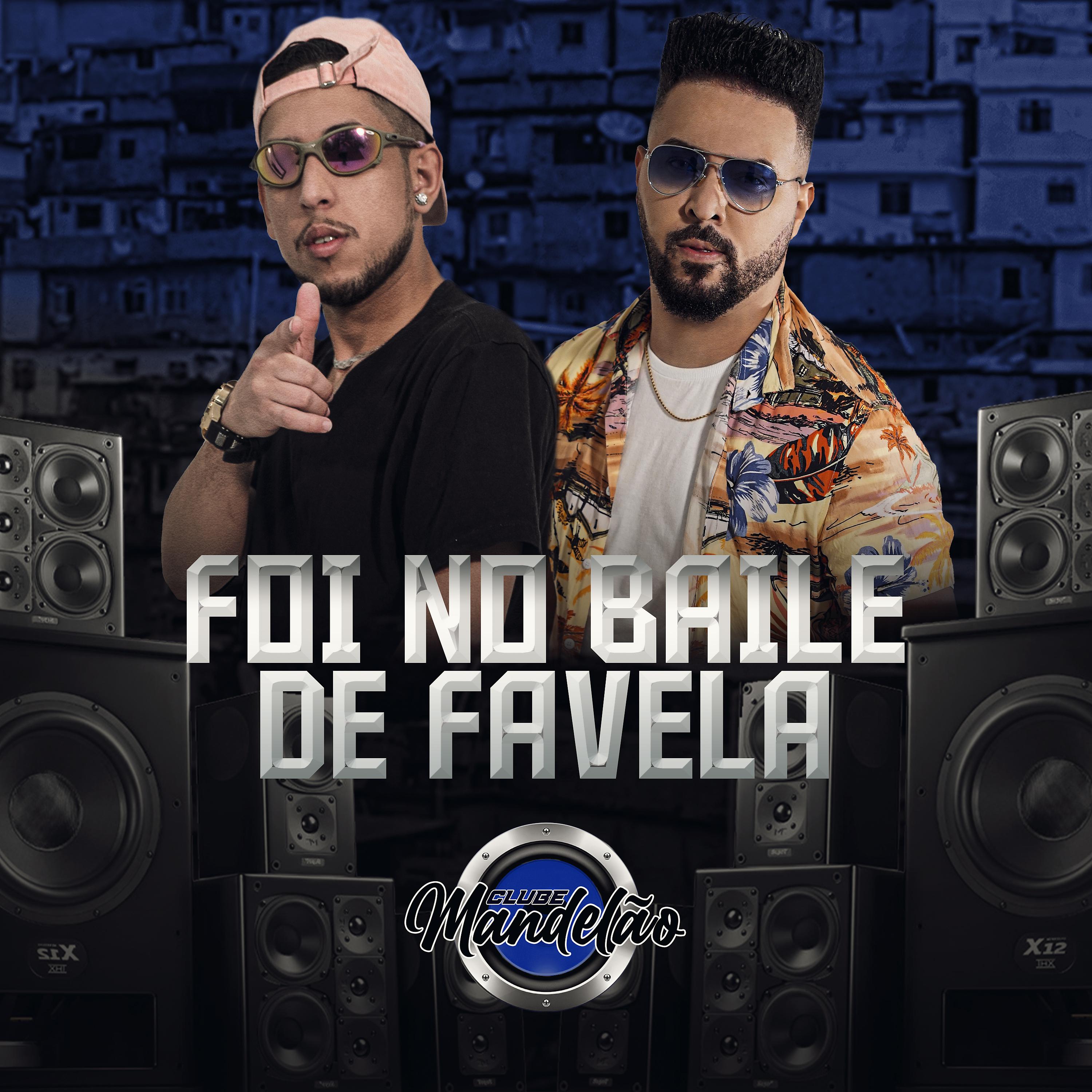 Постер альбома Foi No Baile de Favela