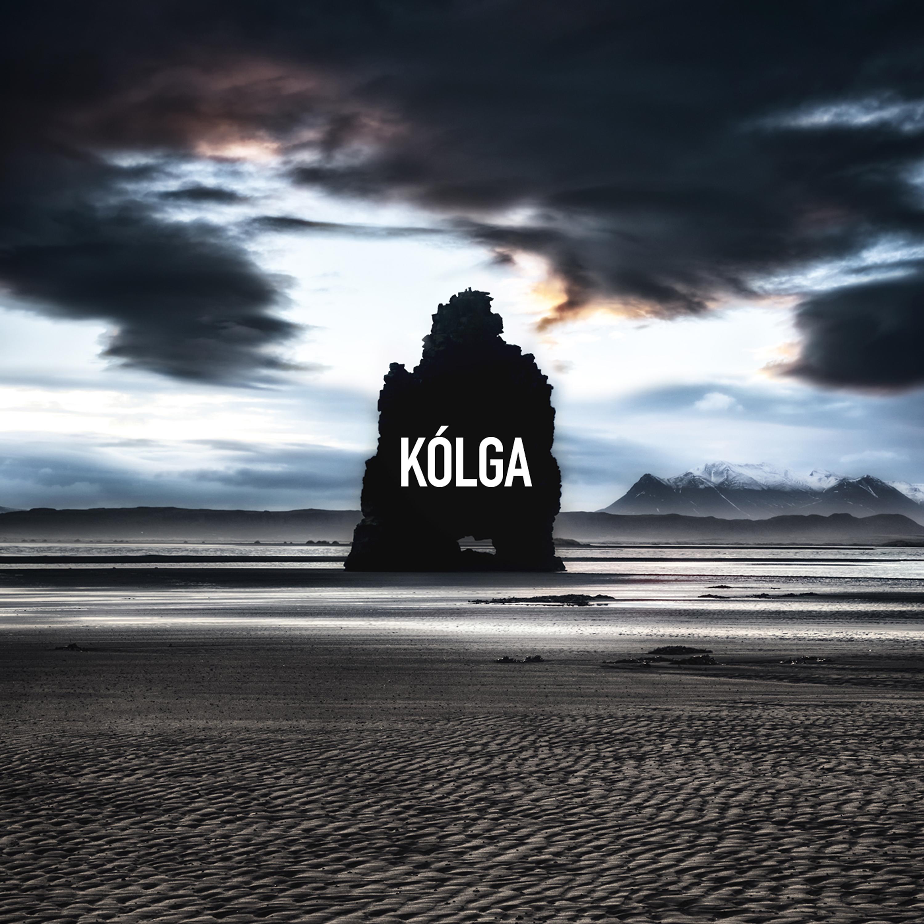 Постер альбома Kólga