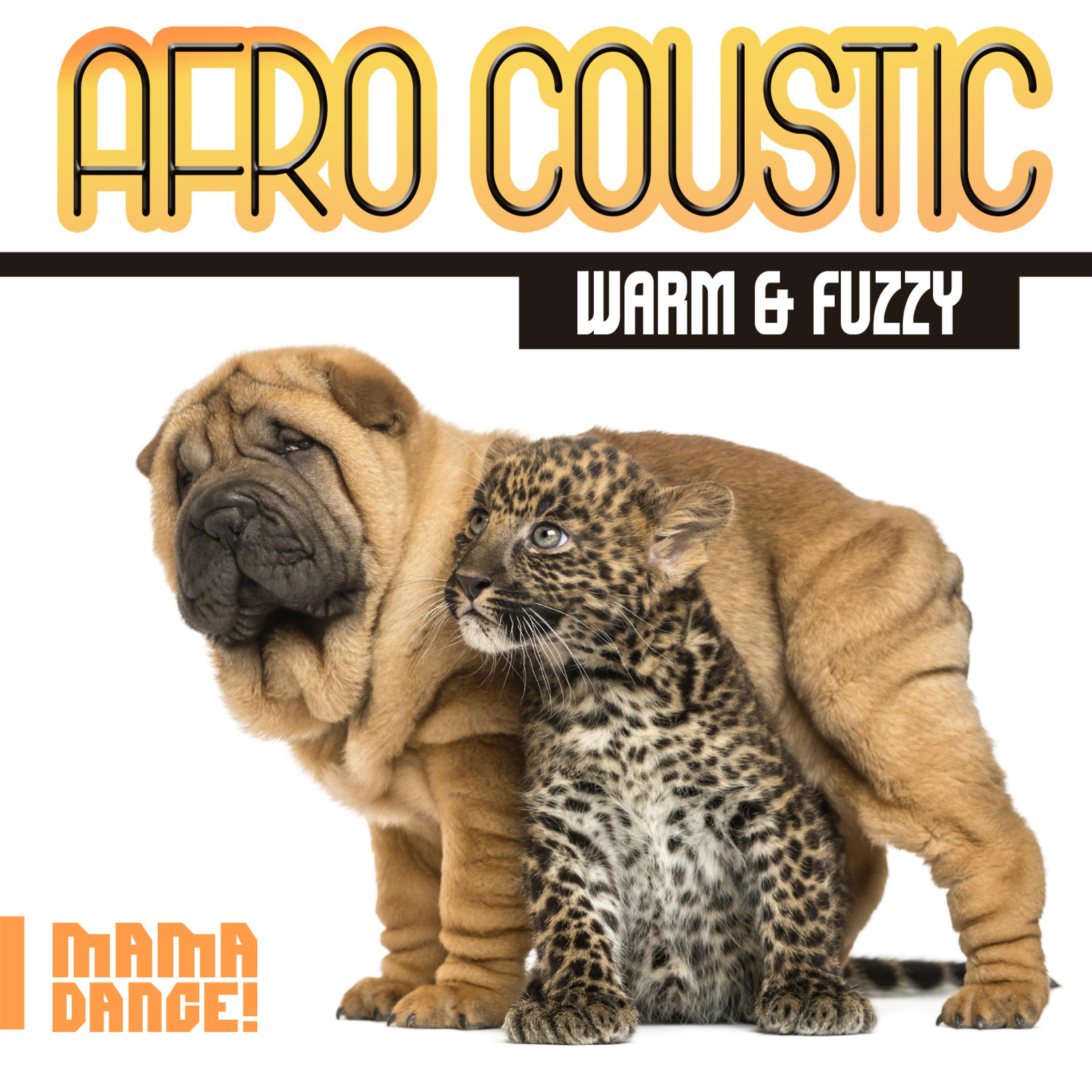 Постер альбома Afro Coustic - Warm & Fuzzy