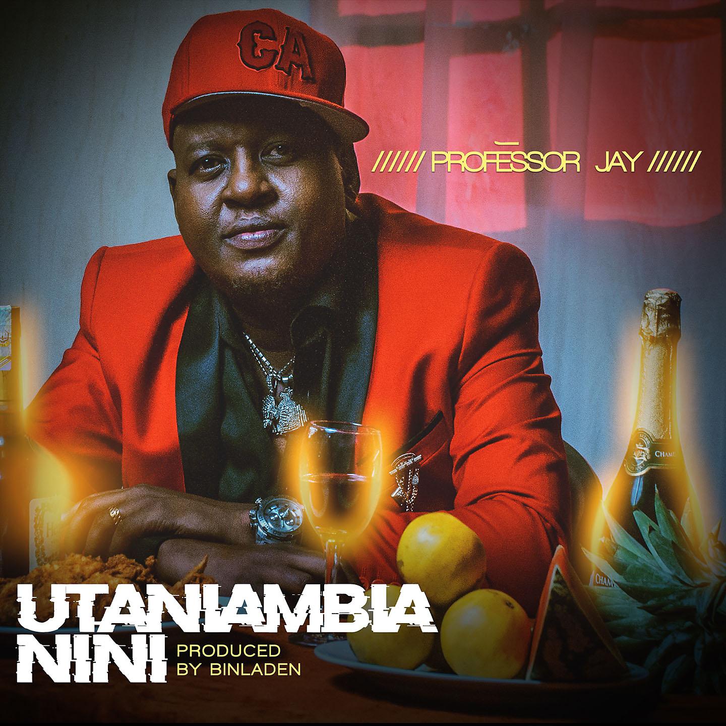 Постер альбома Utaniambia Nini