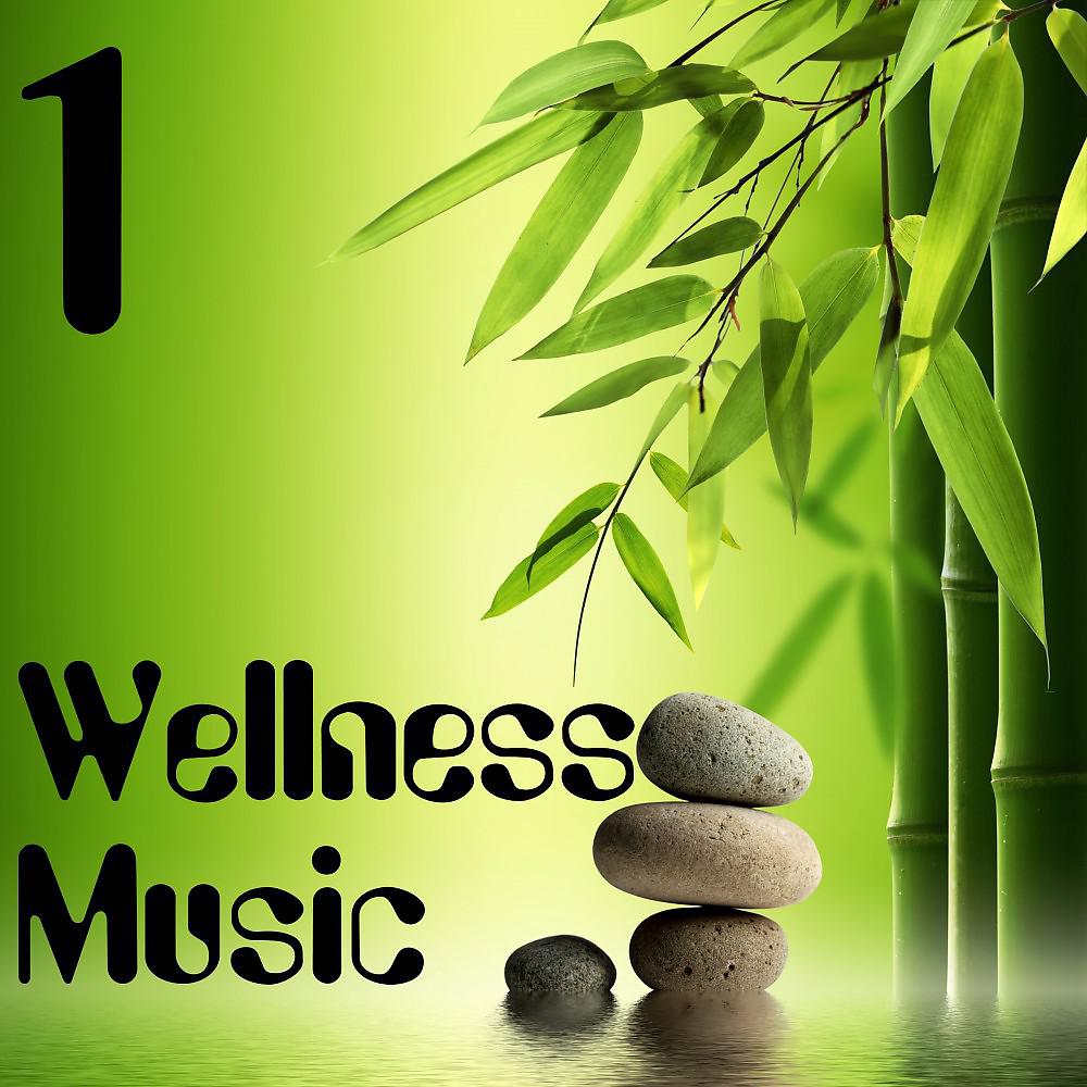 Постер альбома Wellness Music, Vol. 1