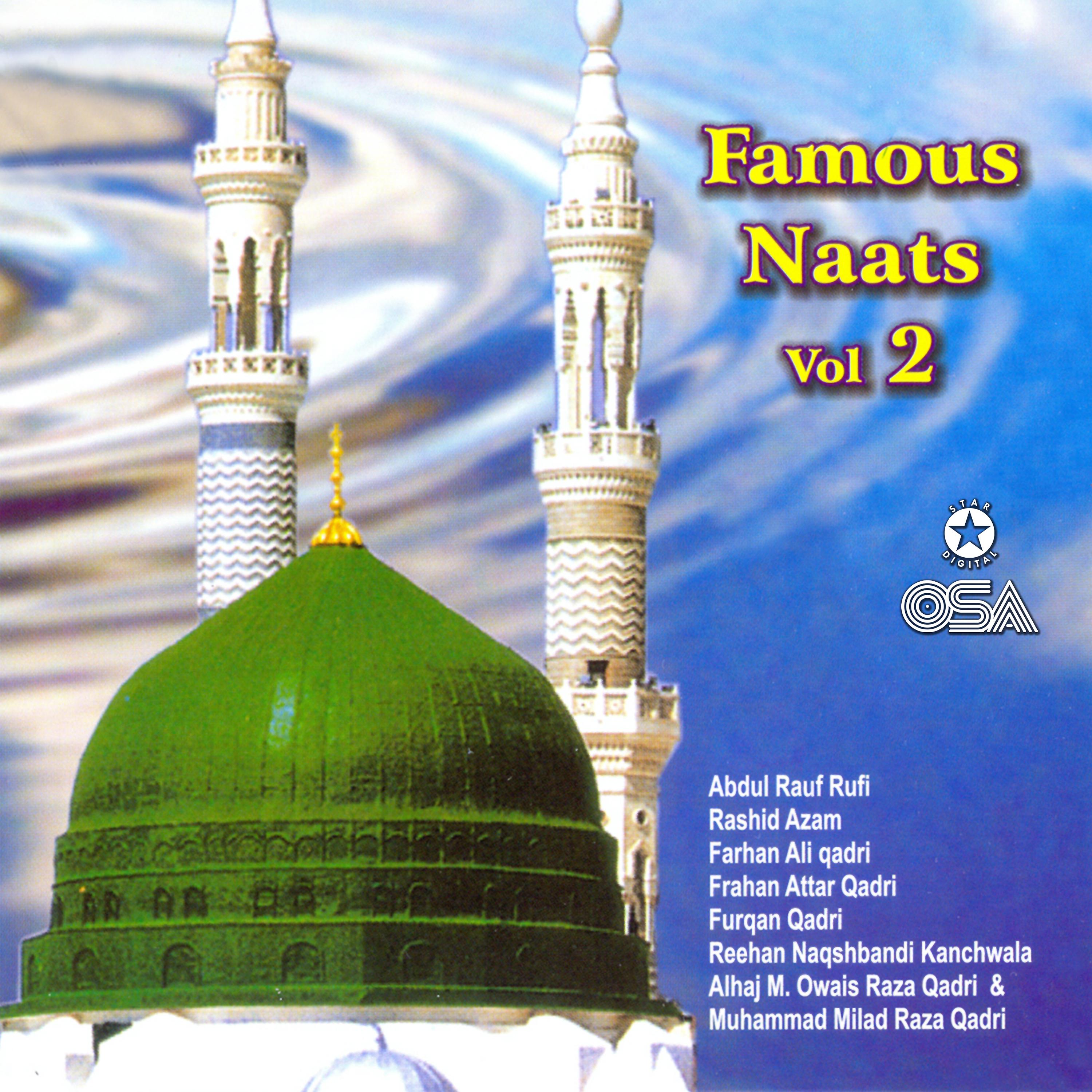 Постер альбома Famous Naats, Vol. 2