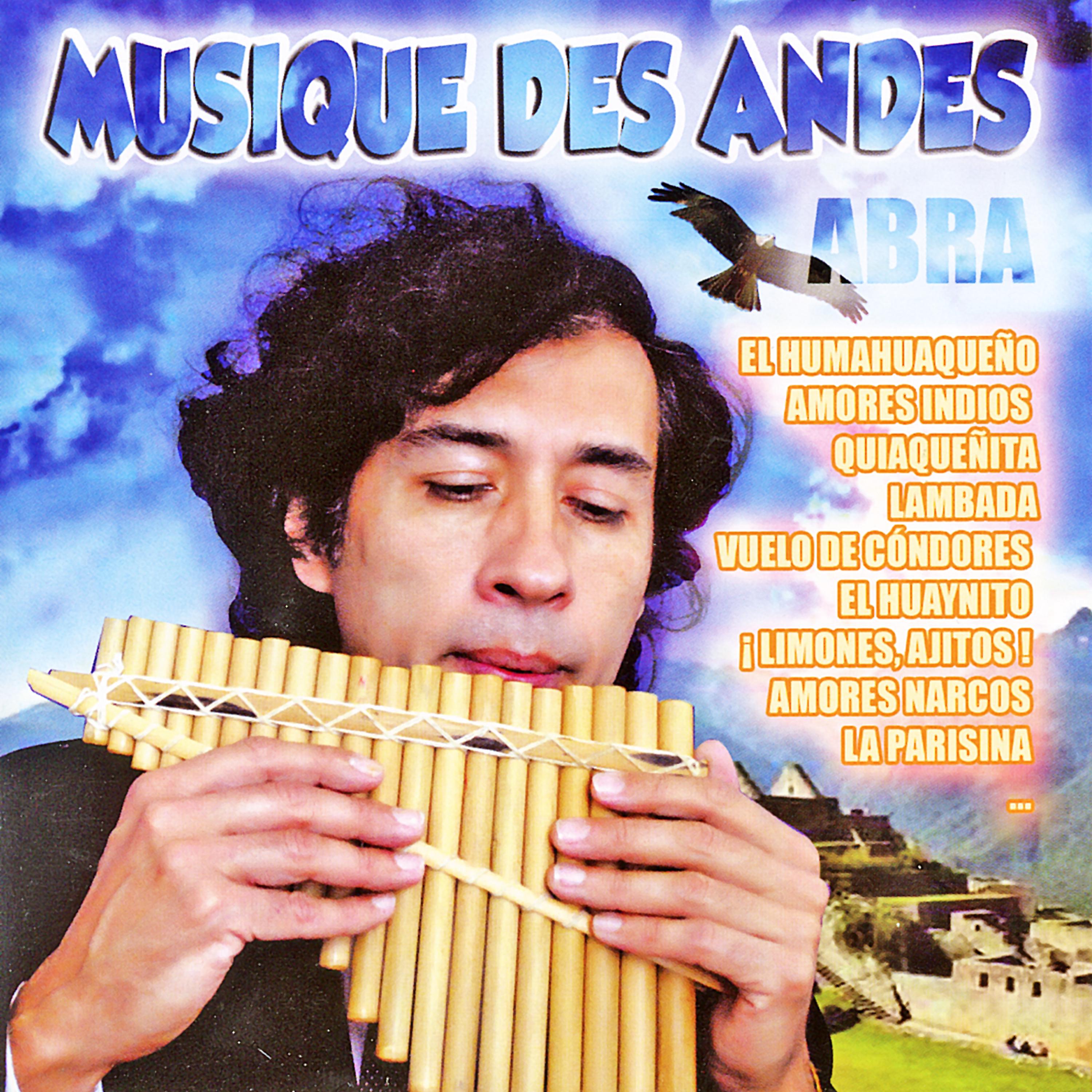 Постер альбома Musique des Andes