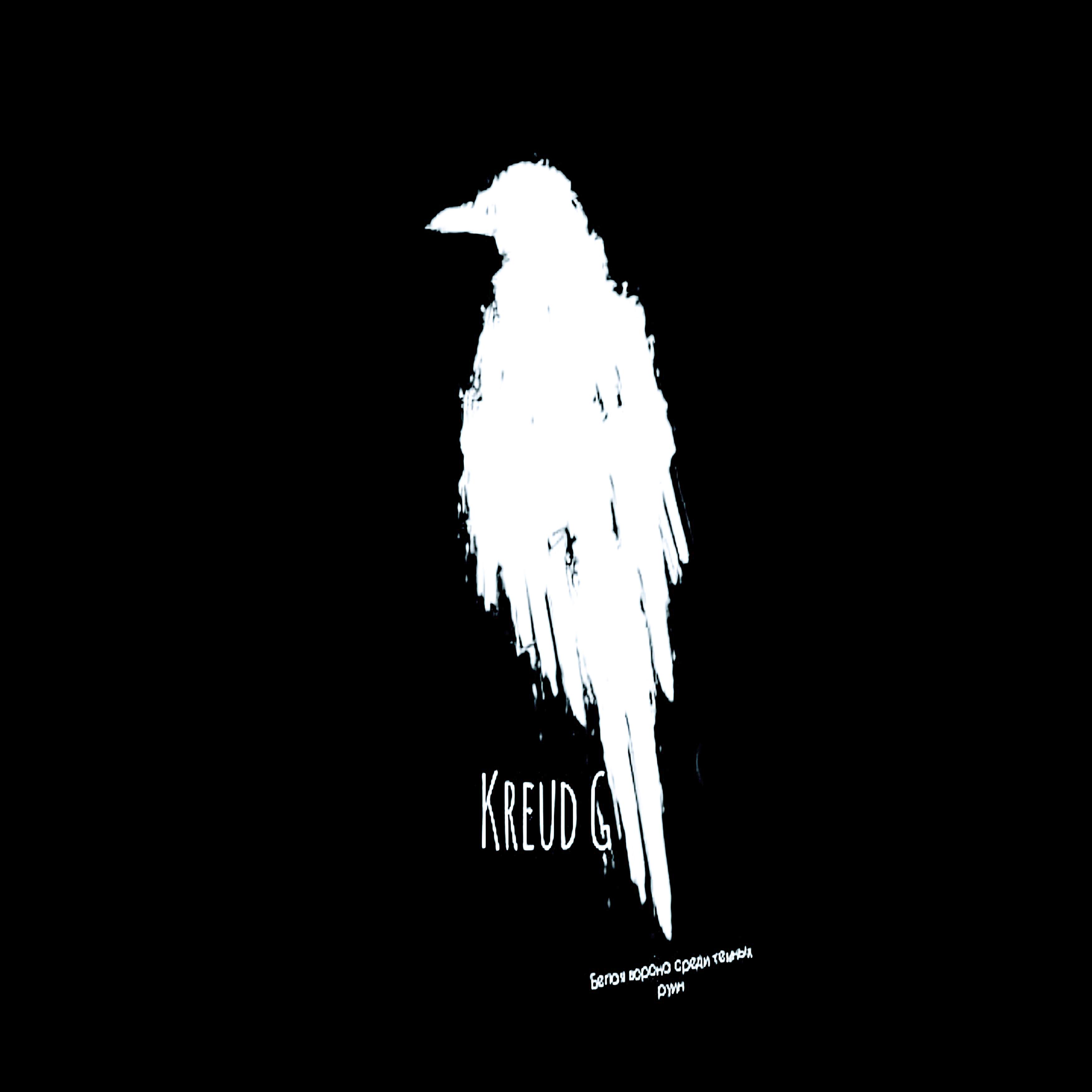Постер альбома Белая ворона среди темных руин