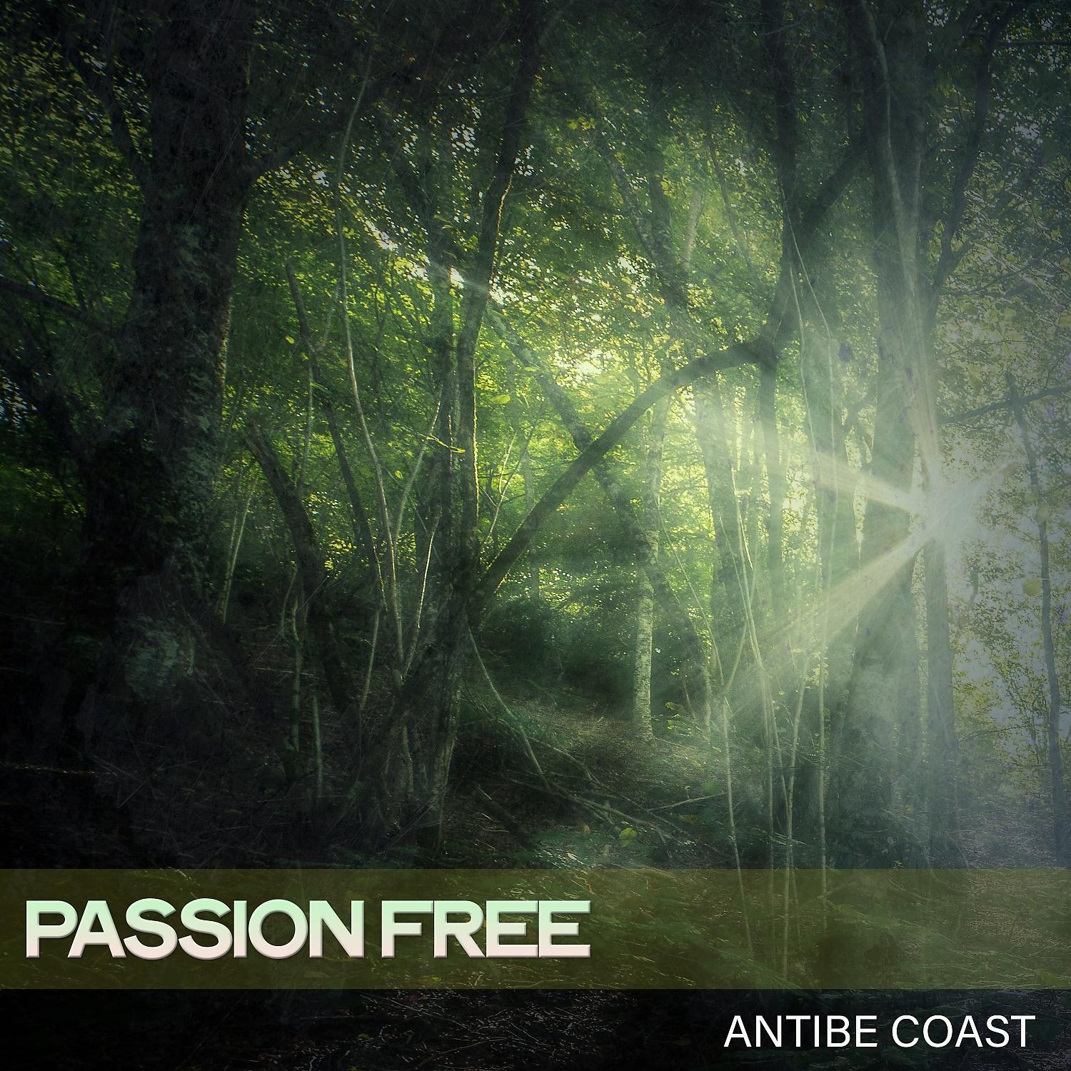 Постер альбома Passion Free