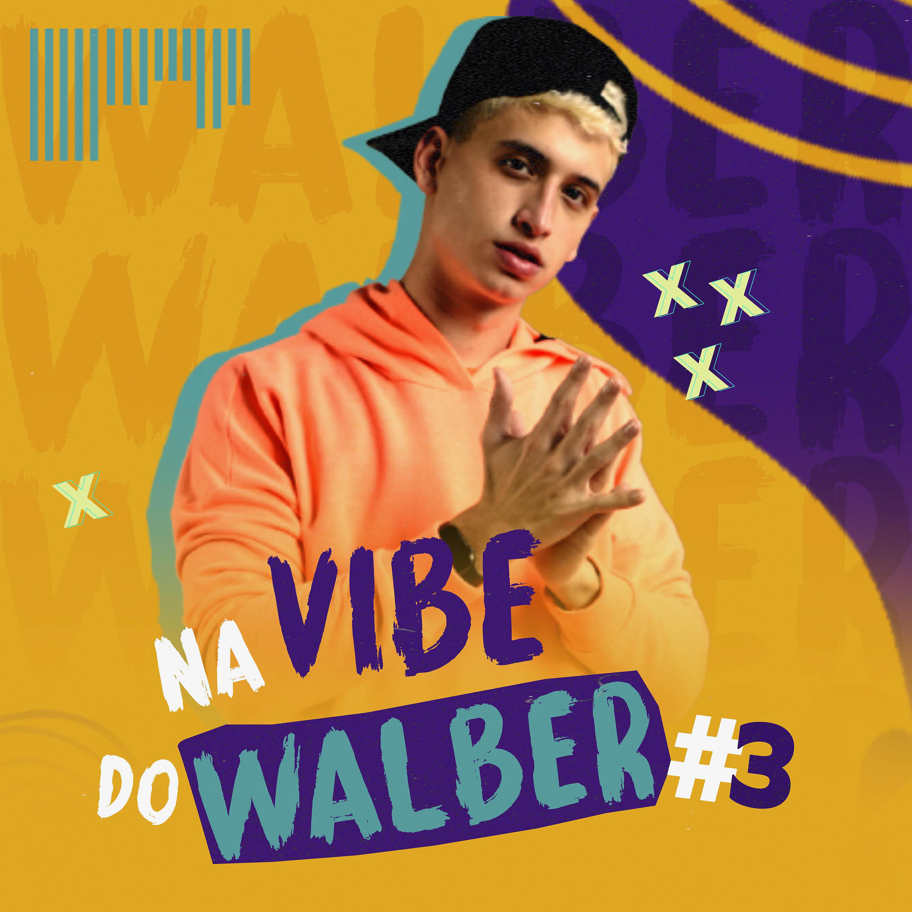 Постер альбома Na Vibe do Walber #3