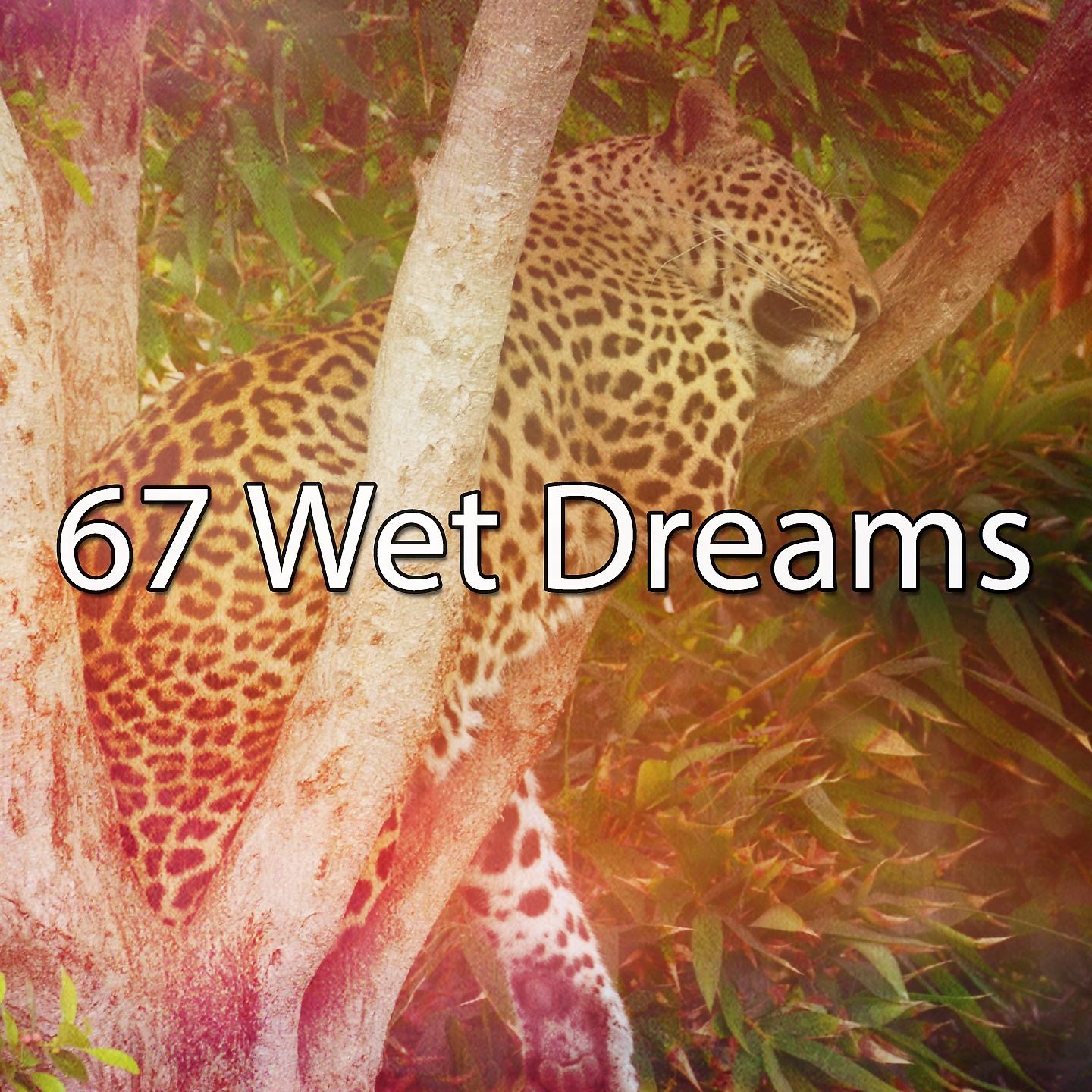 Постер альбома 67 Wet Dreams
