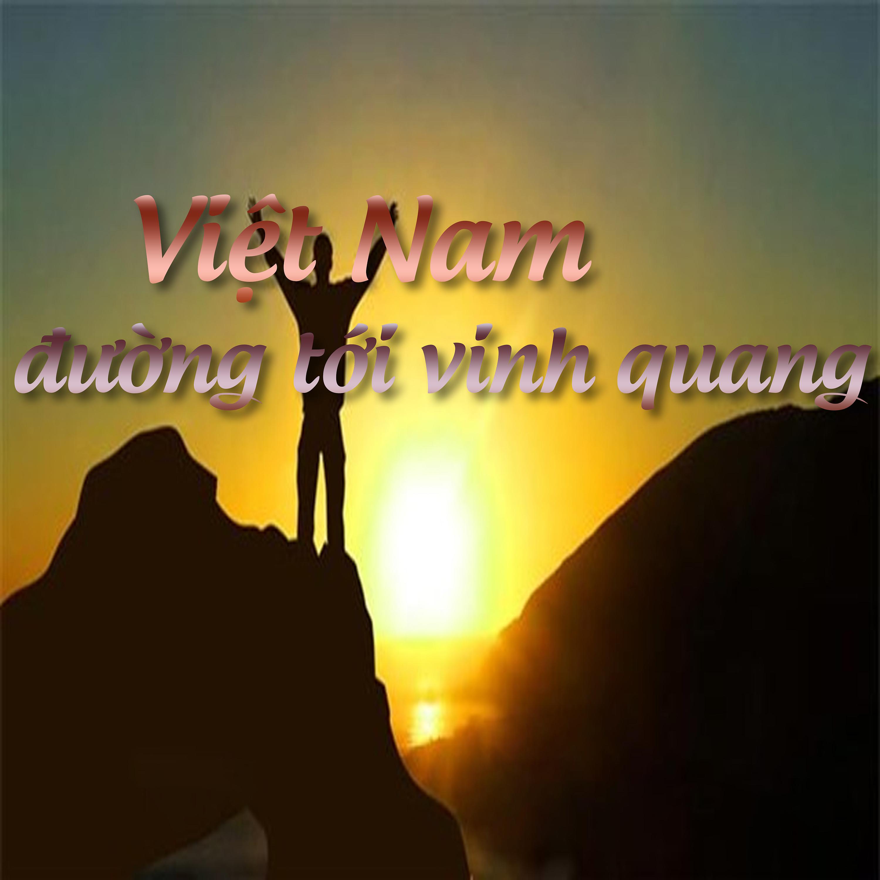 Постер альбома Việt Nam Đường Tới Vinh Quang