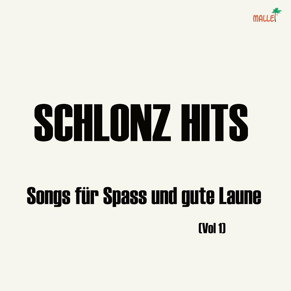 Постер альбома Schlonz Hits (Songs für Spass und gute Laune)
