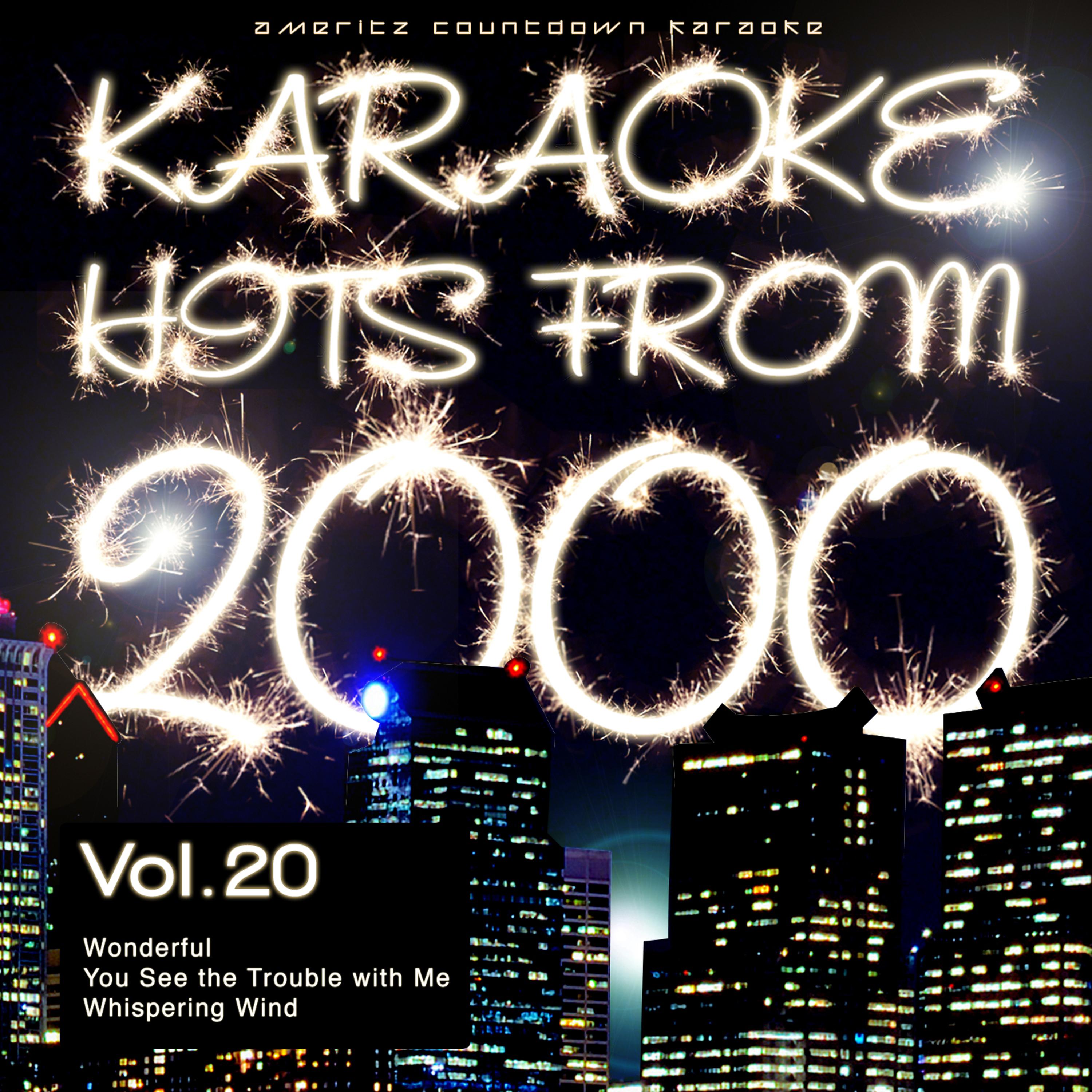 Постер альбома Karaoke Hits from 2000, Vol. 20