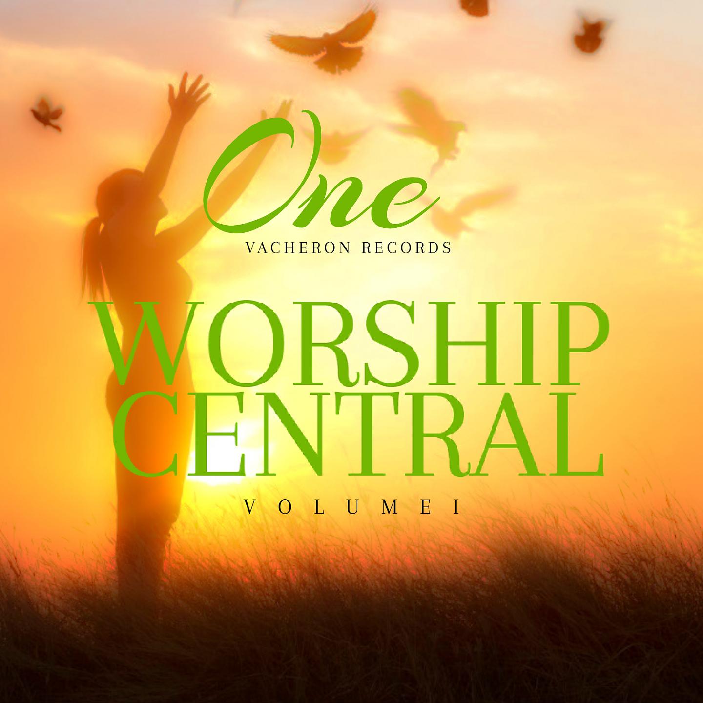 Постер альбома Worship Central, Vol. 2
