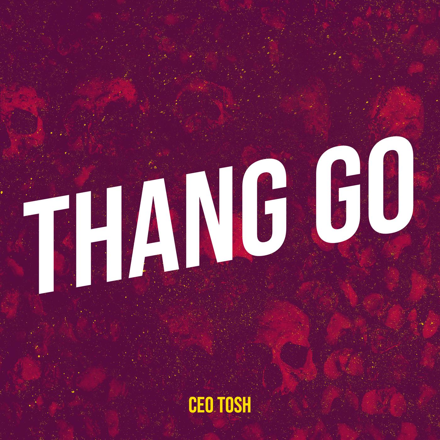 Постер альбома Thang Go