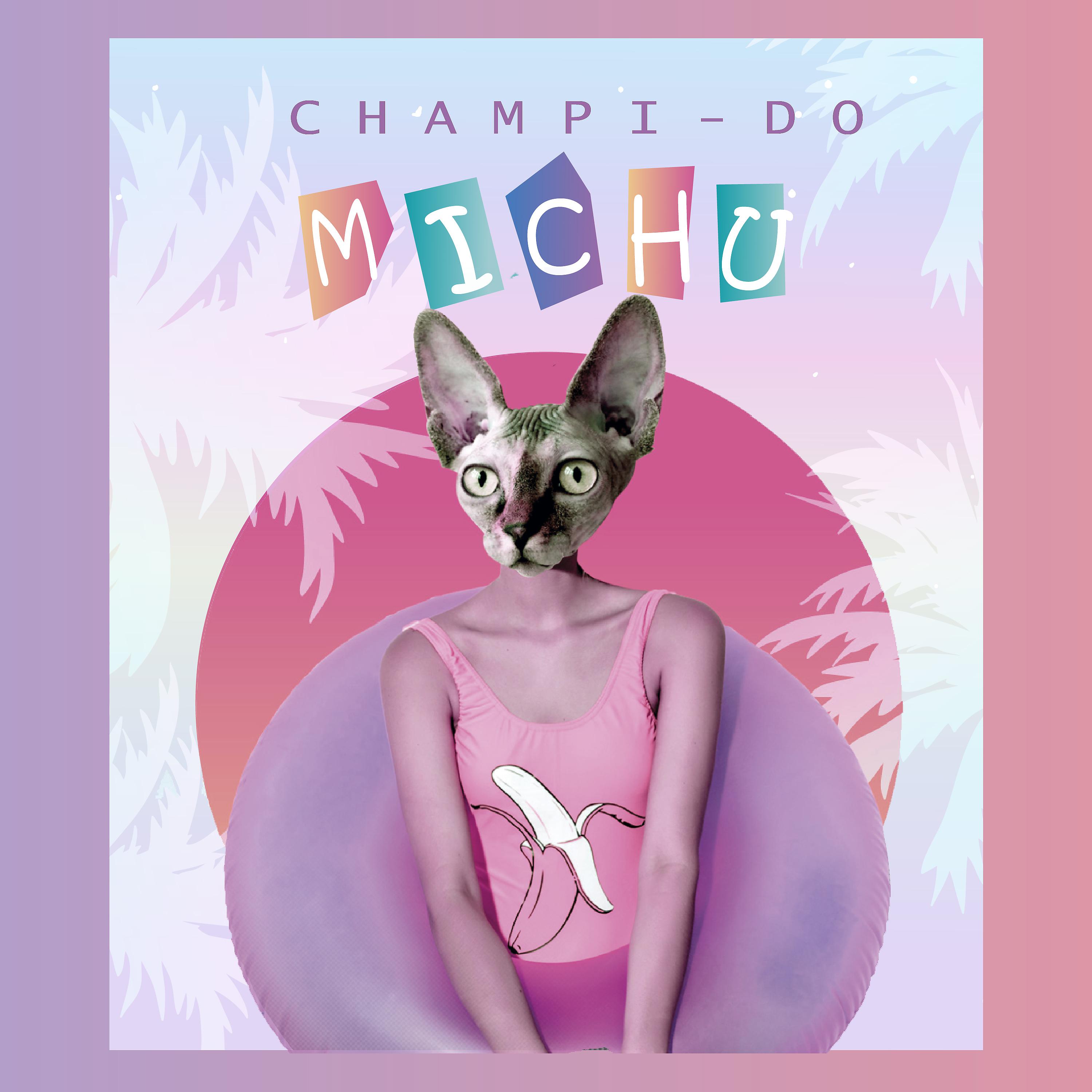 Постер альбома Michu