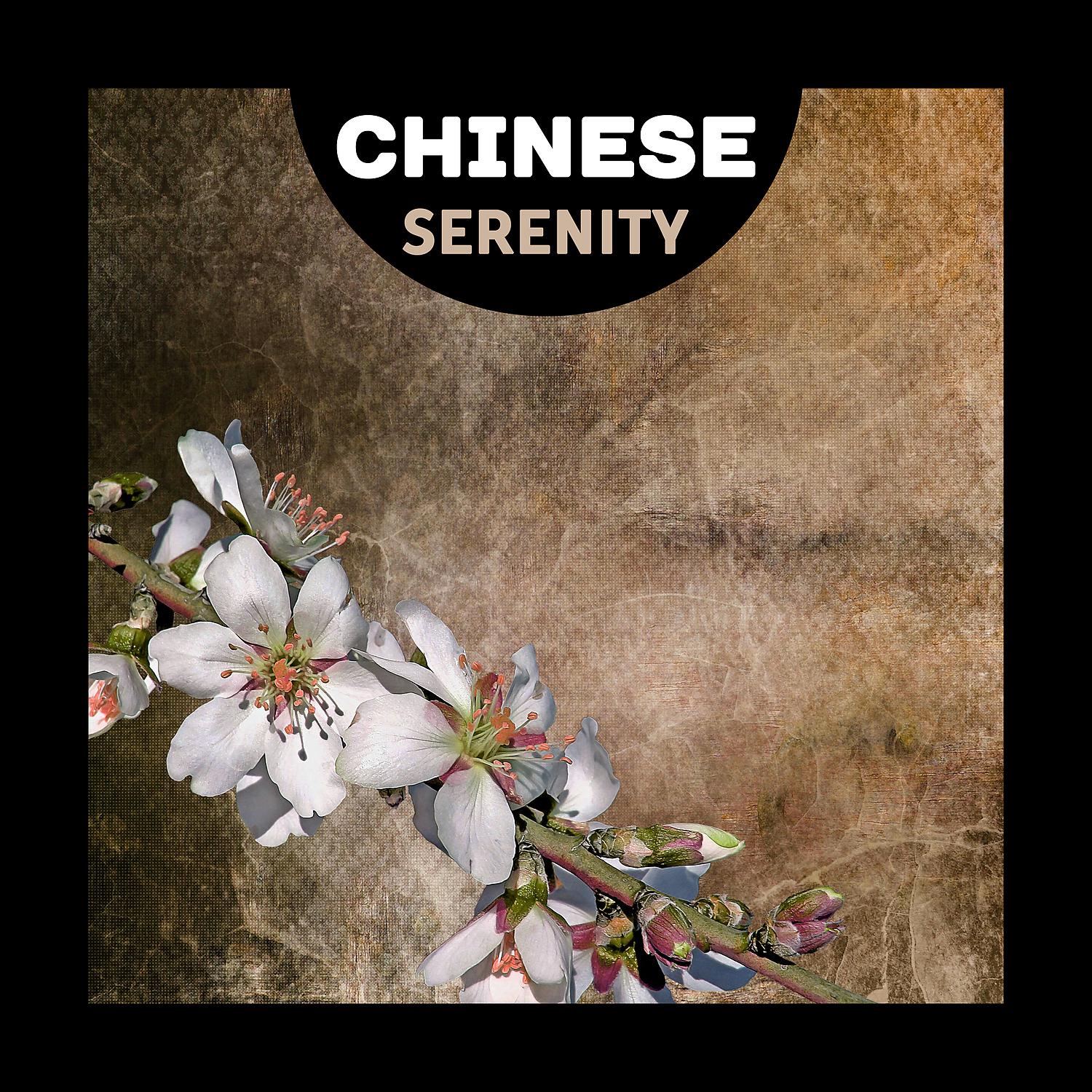 Постер альбома Chinese Serenity – Traditional Oriental Instruments & Music, Chinese Relaxation, Oriental Spa, Deep Sleep, Asian Meditation