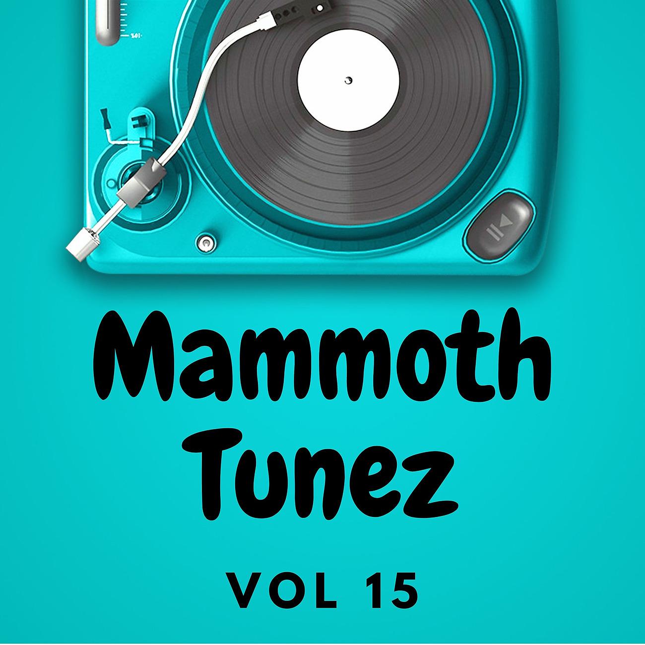 Постер альбома Mammoth Tunez Vol 15