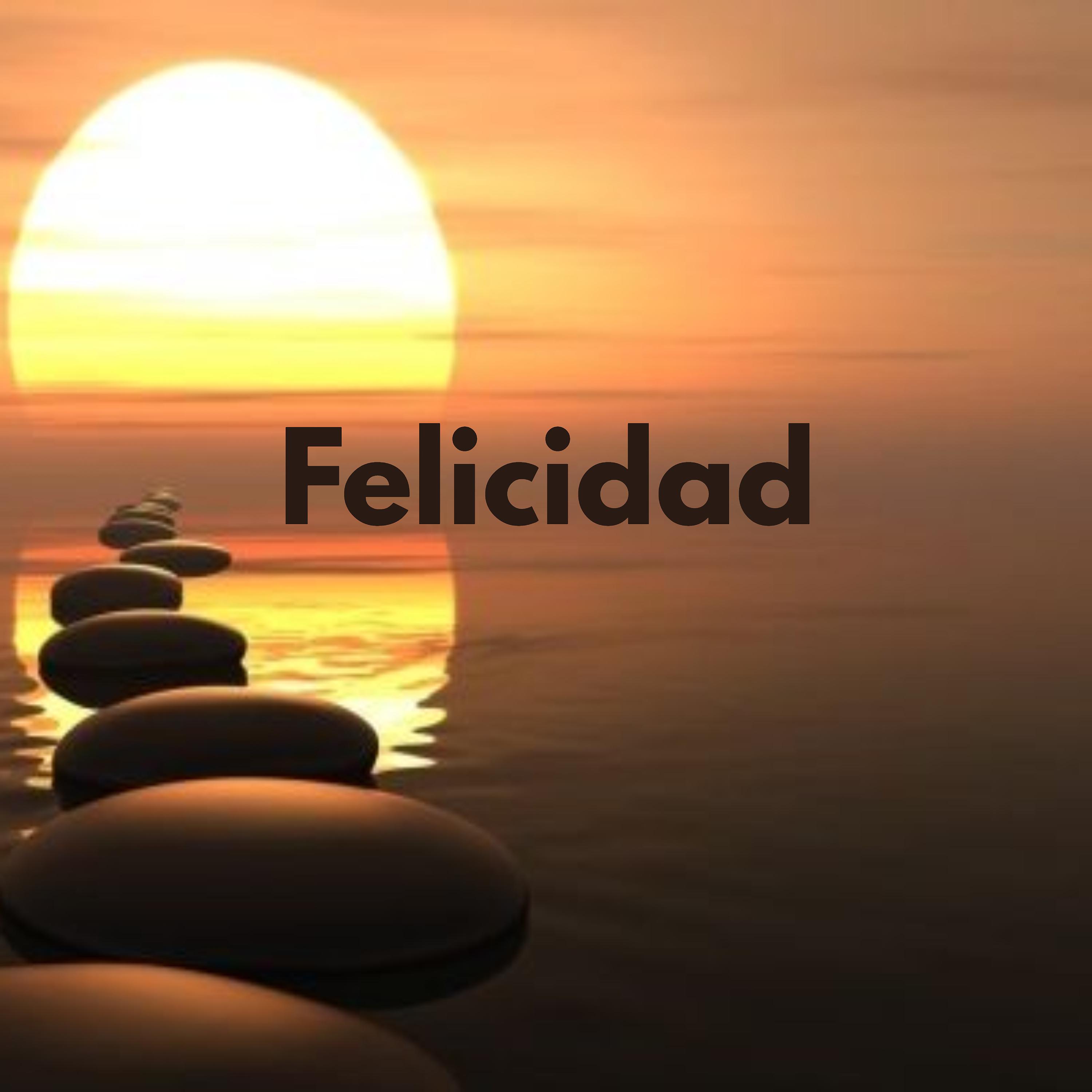 Постер альбома Felicidad