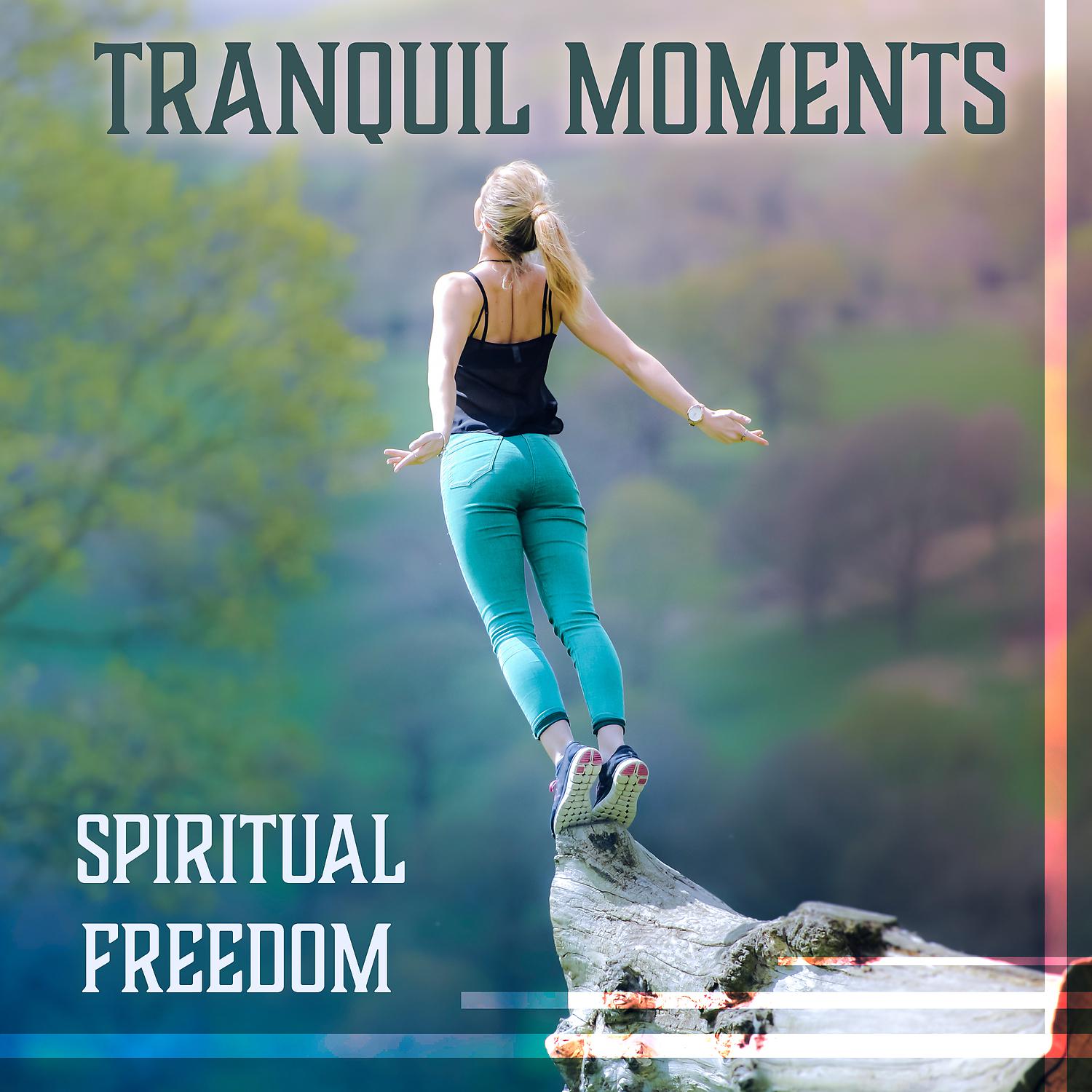 Постер альбома Tranquil Moments: Spiritual Freedom – Meditation with Sounds of Nature, Quiet Moments & Asian Chakra Balancing, Mantra Therapy