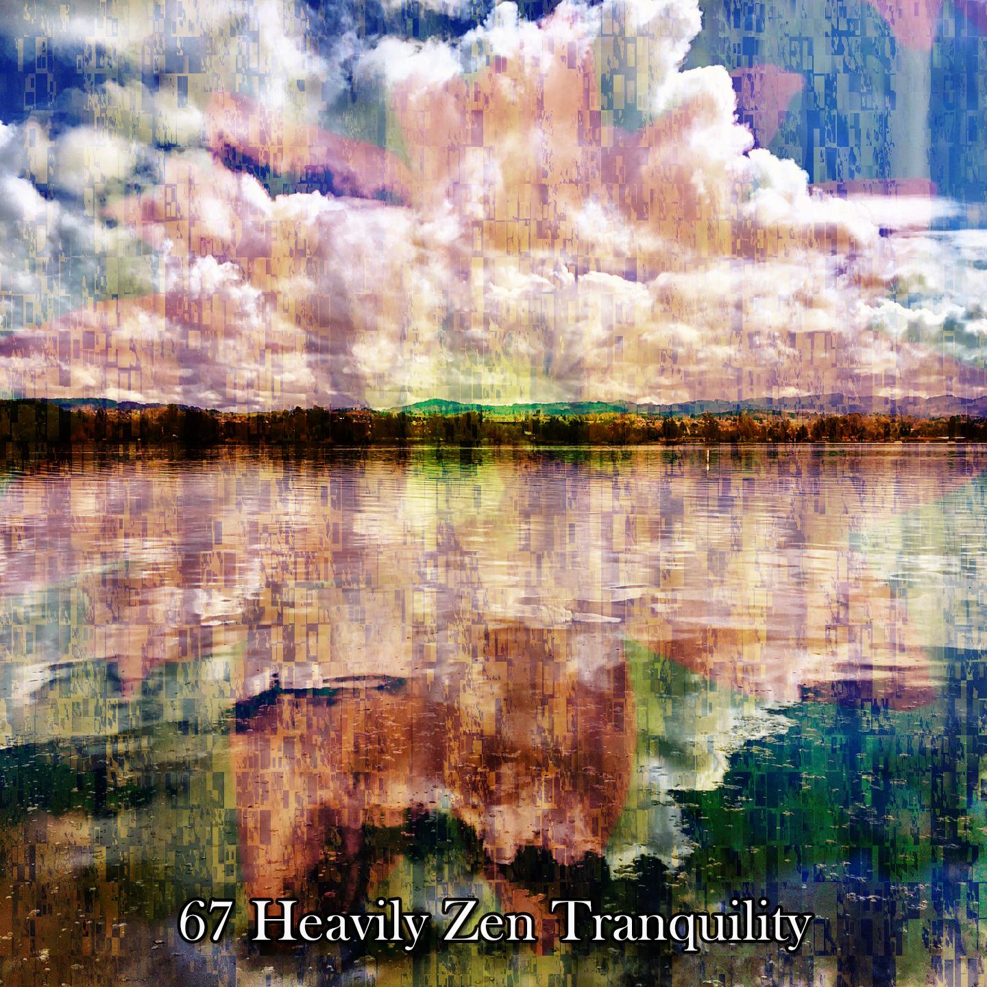 Постер альбома 67 Heavily Zen Tranquility