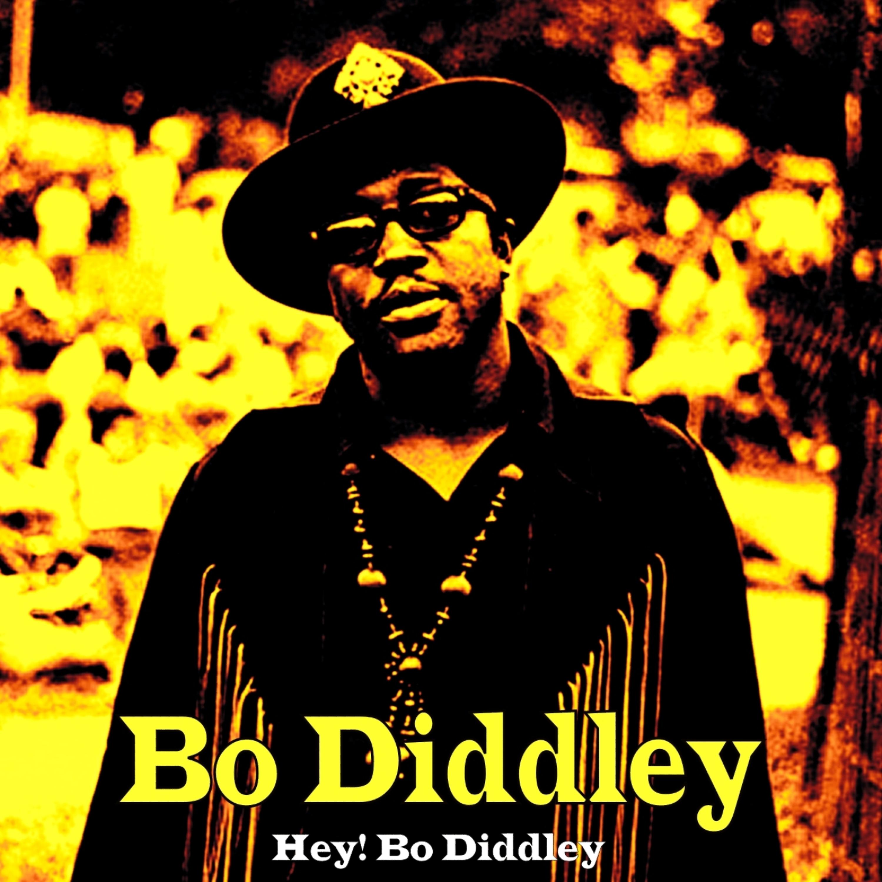 Постер альбома Hey! Bo Diddley
