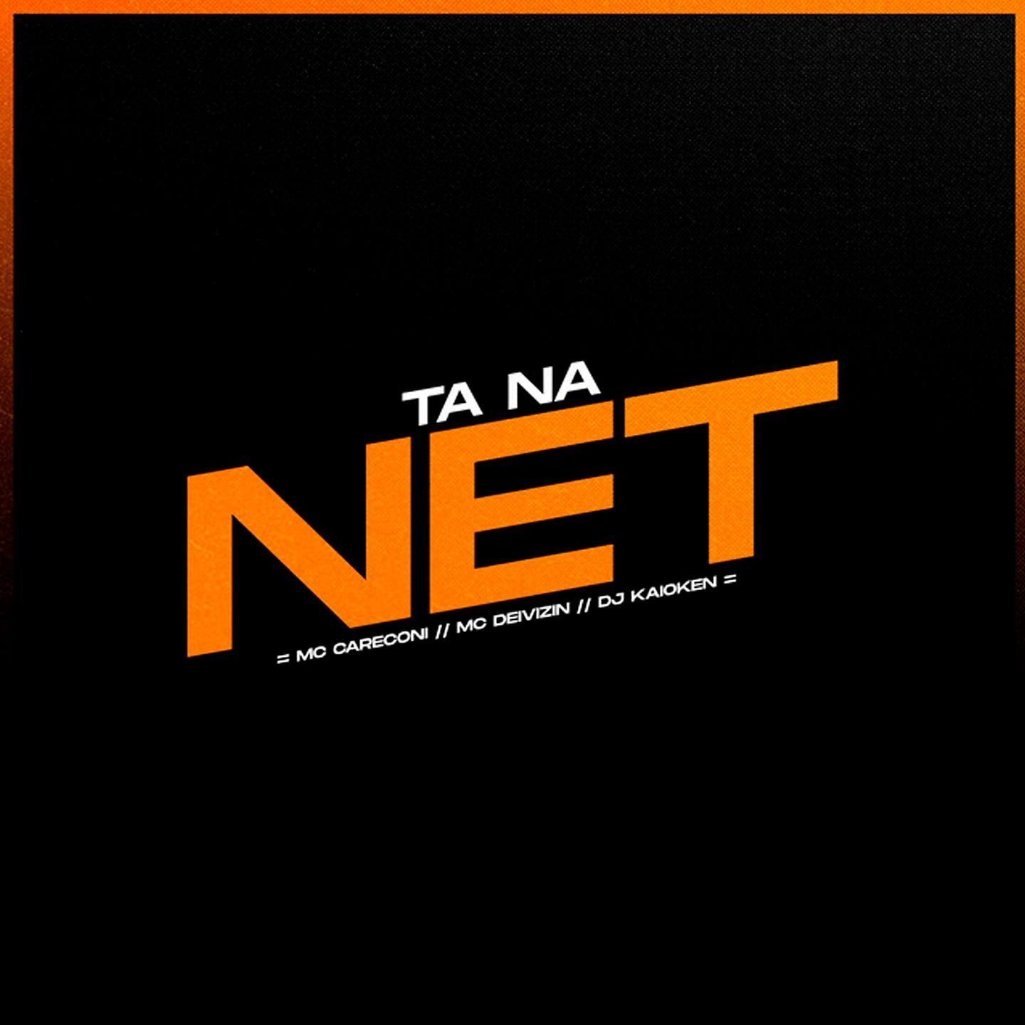 Постер альбома Ta na Net