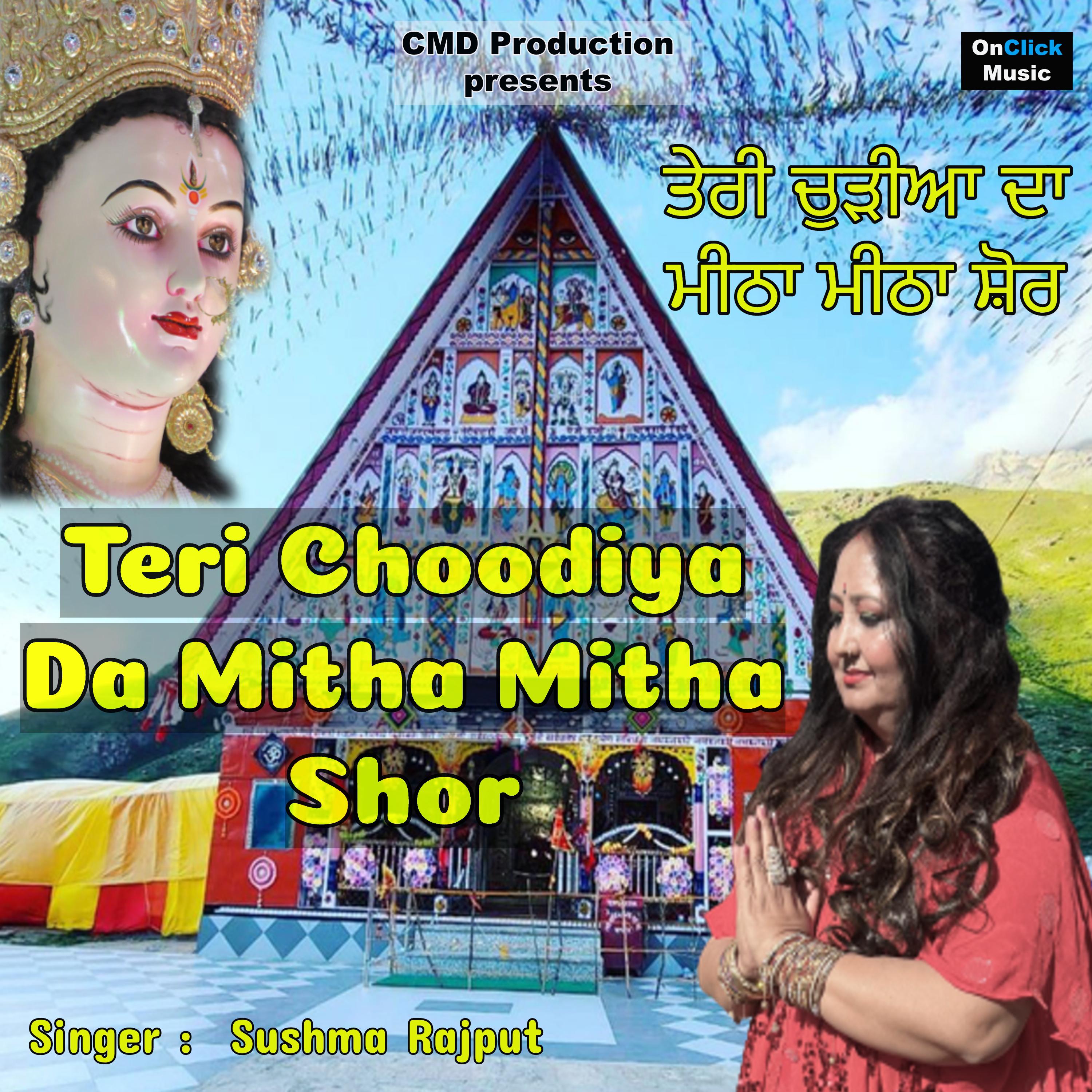 Постер альбома Teri Choodiya Da Mitha Mitha Shor