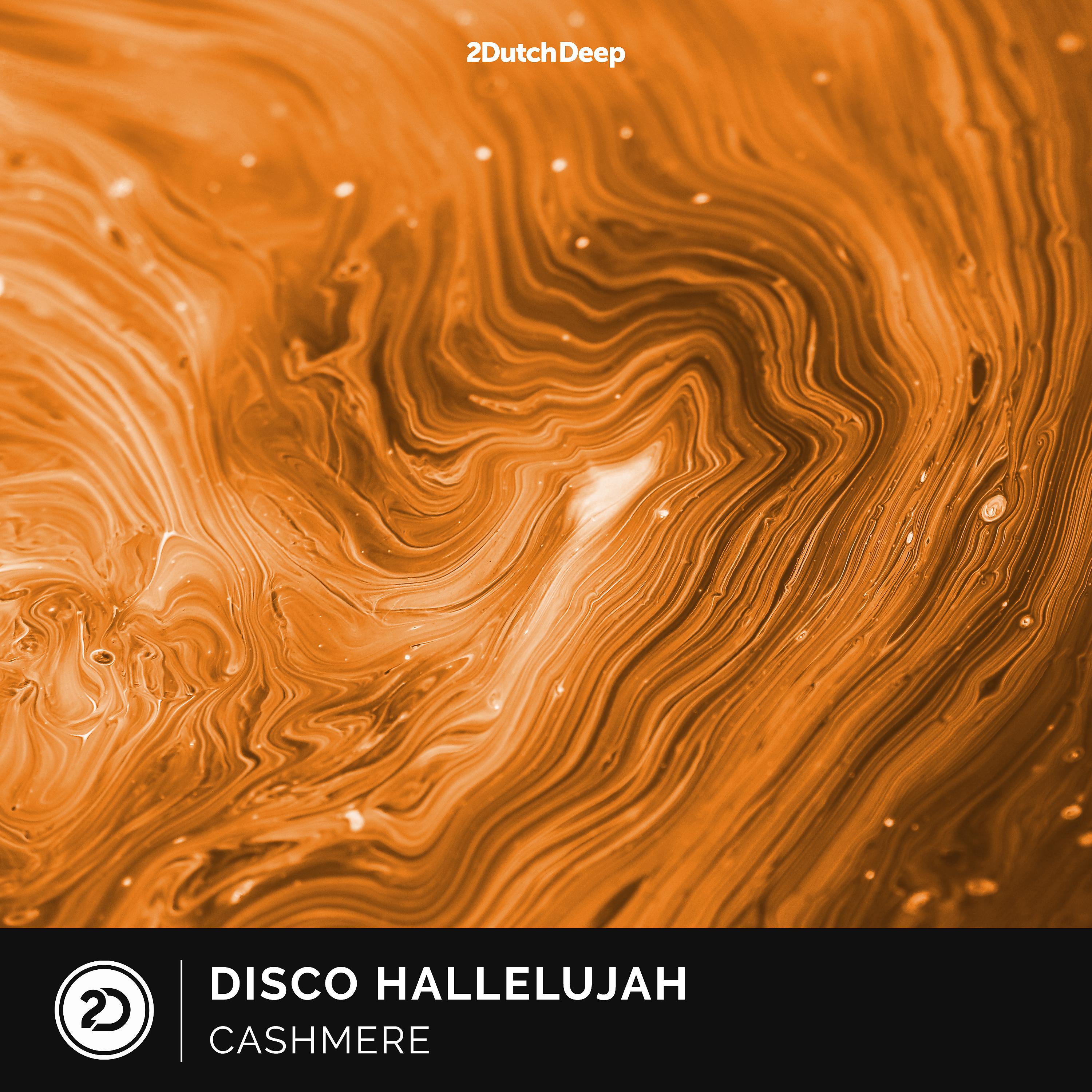 Постер альбома Disco Hallelujah