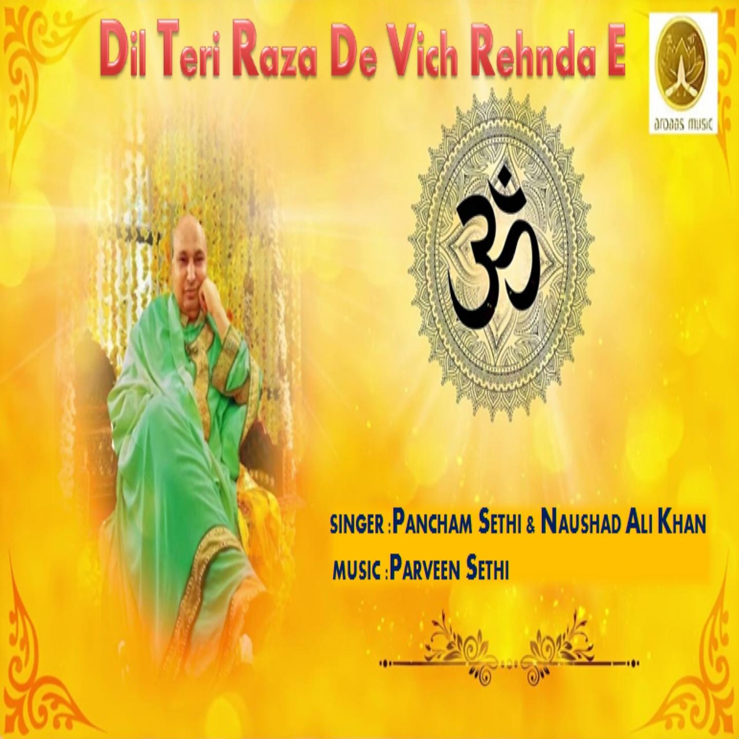 Постер альбома Dil Teri Raza De Vich Rehnda E