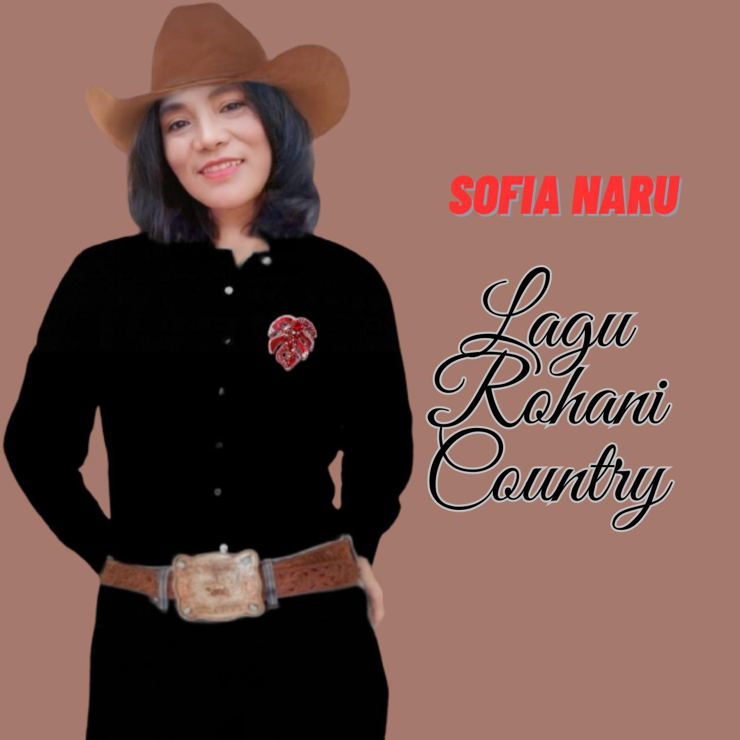 Постер альбома Lagu Rohani Country
