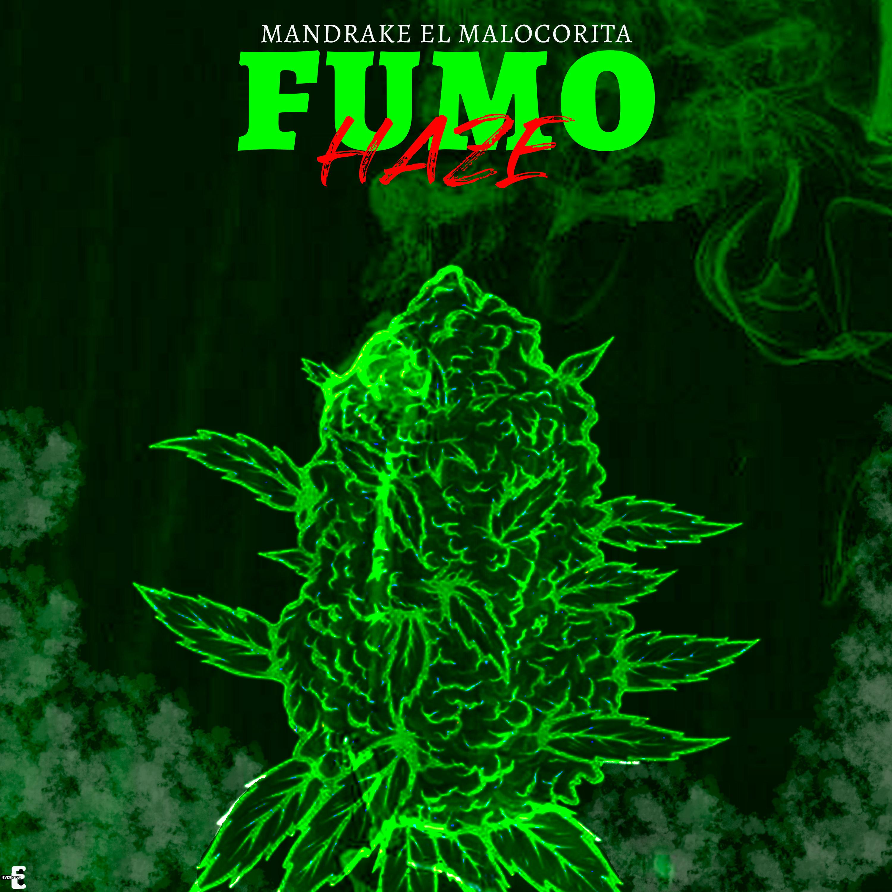 Постер альбома Fumo Haze