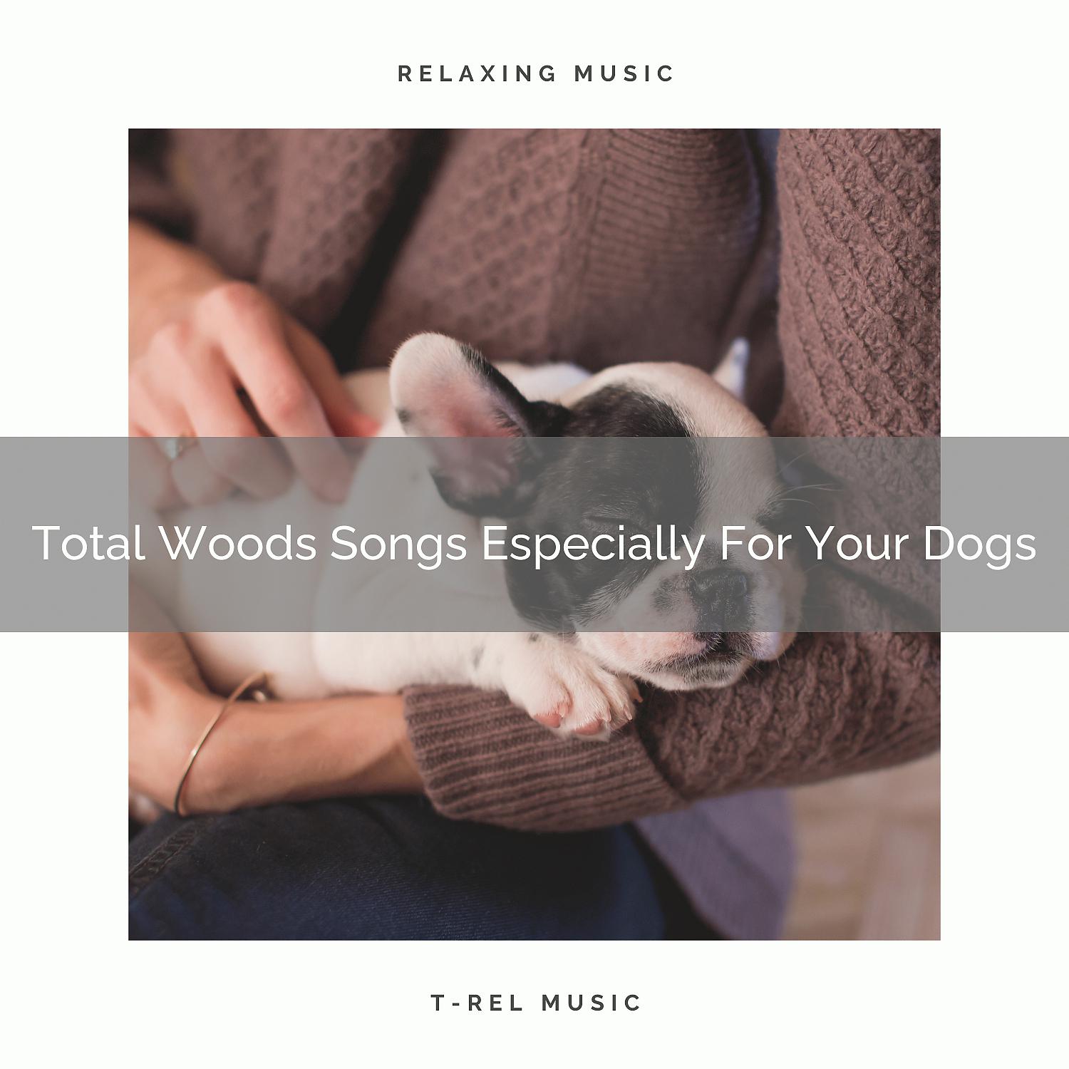 Постер альбома Total Woods Songs Especially For Your Dogs