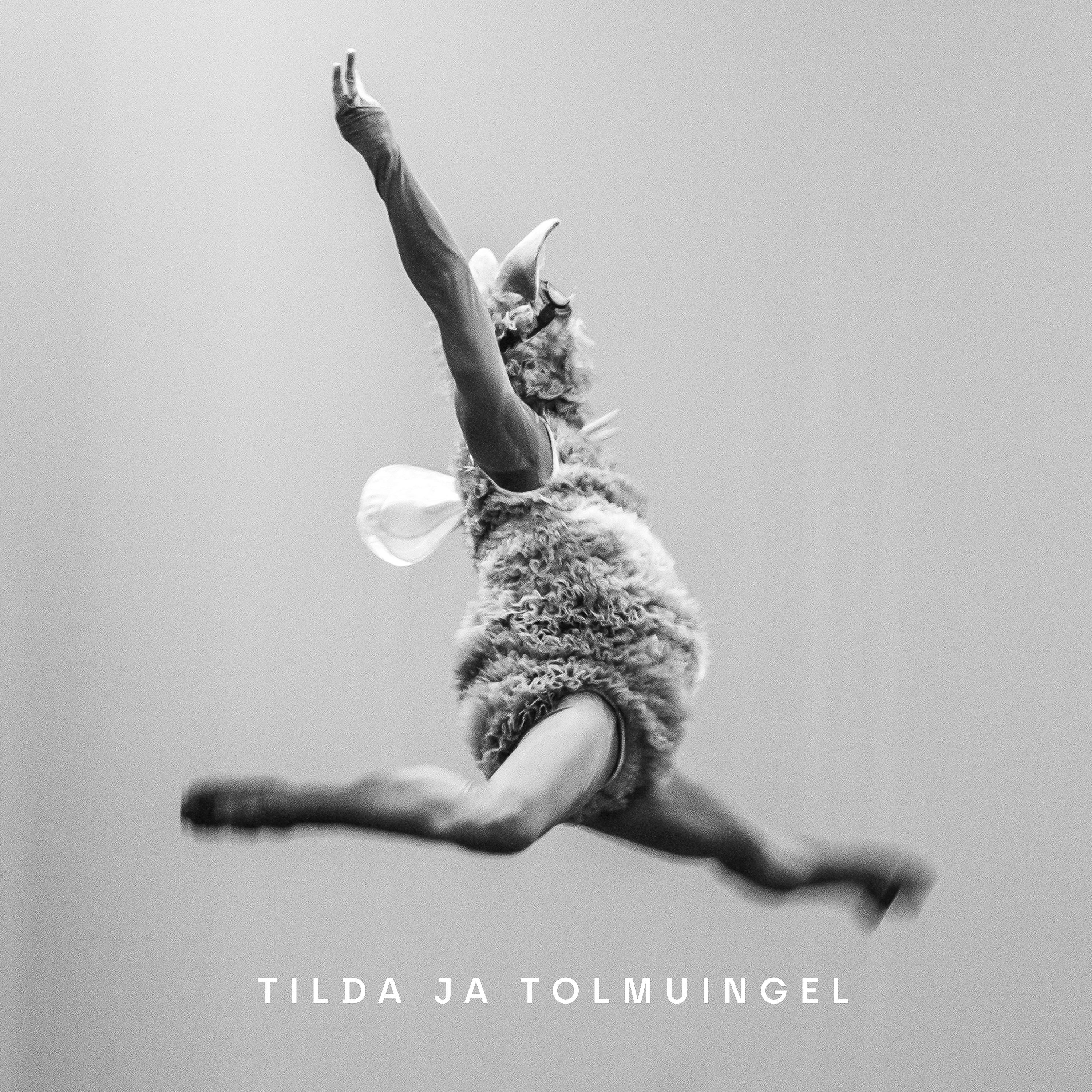 Постер альбома Tilda Ja Tolmuingel