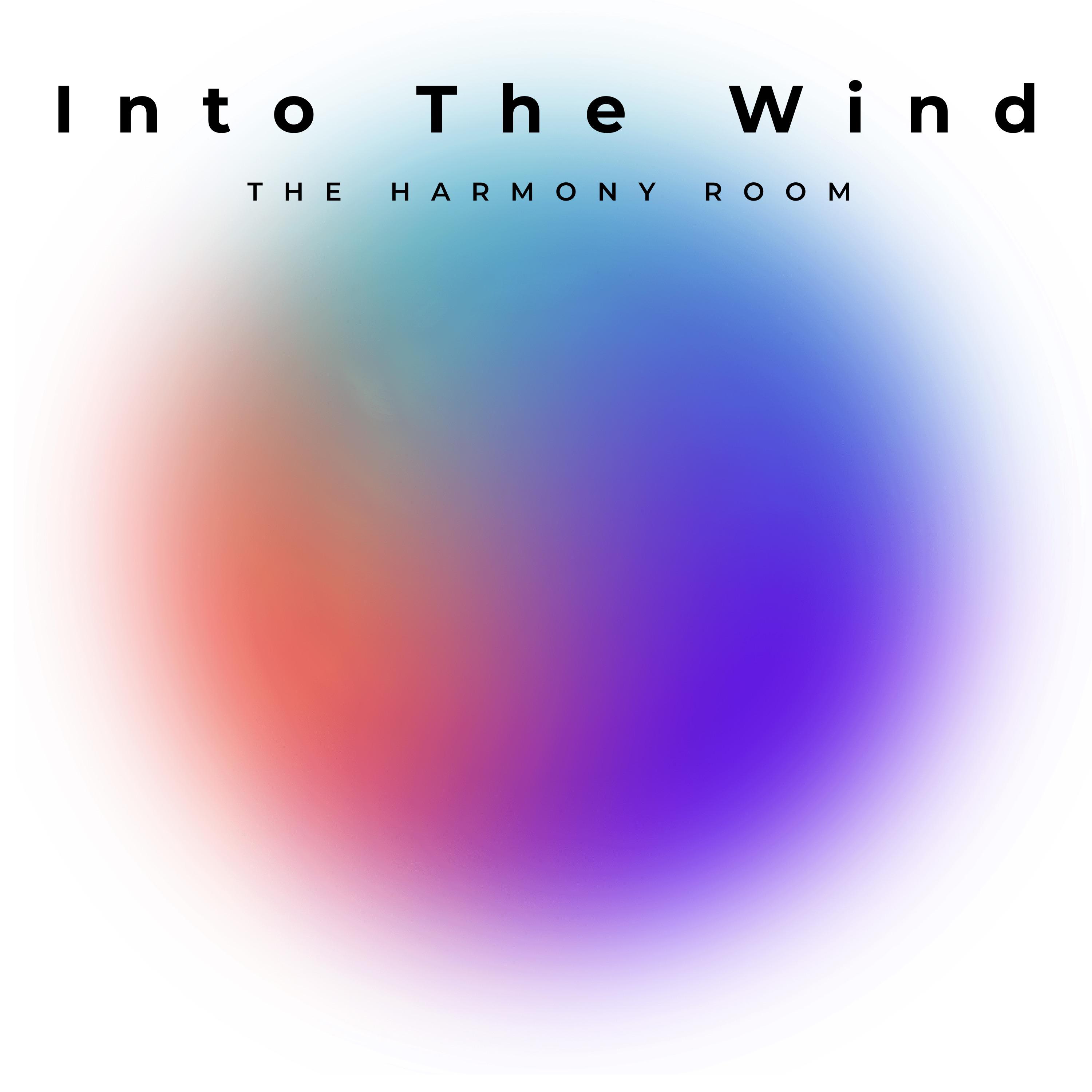 Постер альбома Into The Wind