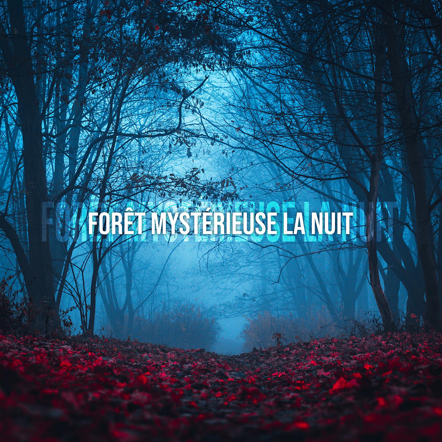 Постер альбома Forêt mystérieuse la nuit: Méditation avec la nature, Proche de la nature, Sons nocturnes apaisants, Bruits d'animaux