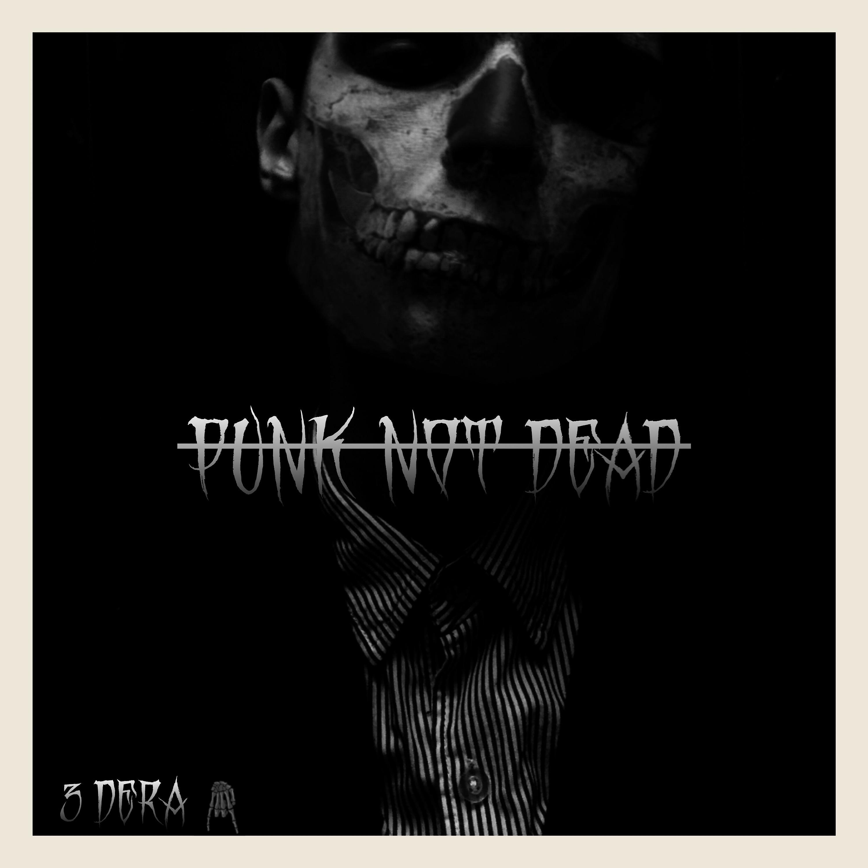 Постер альбома Punk Not Dead