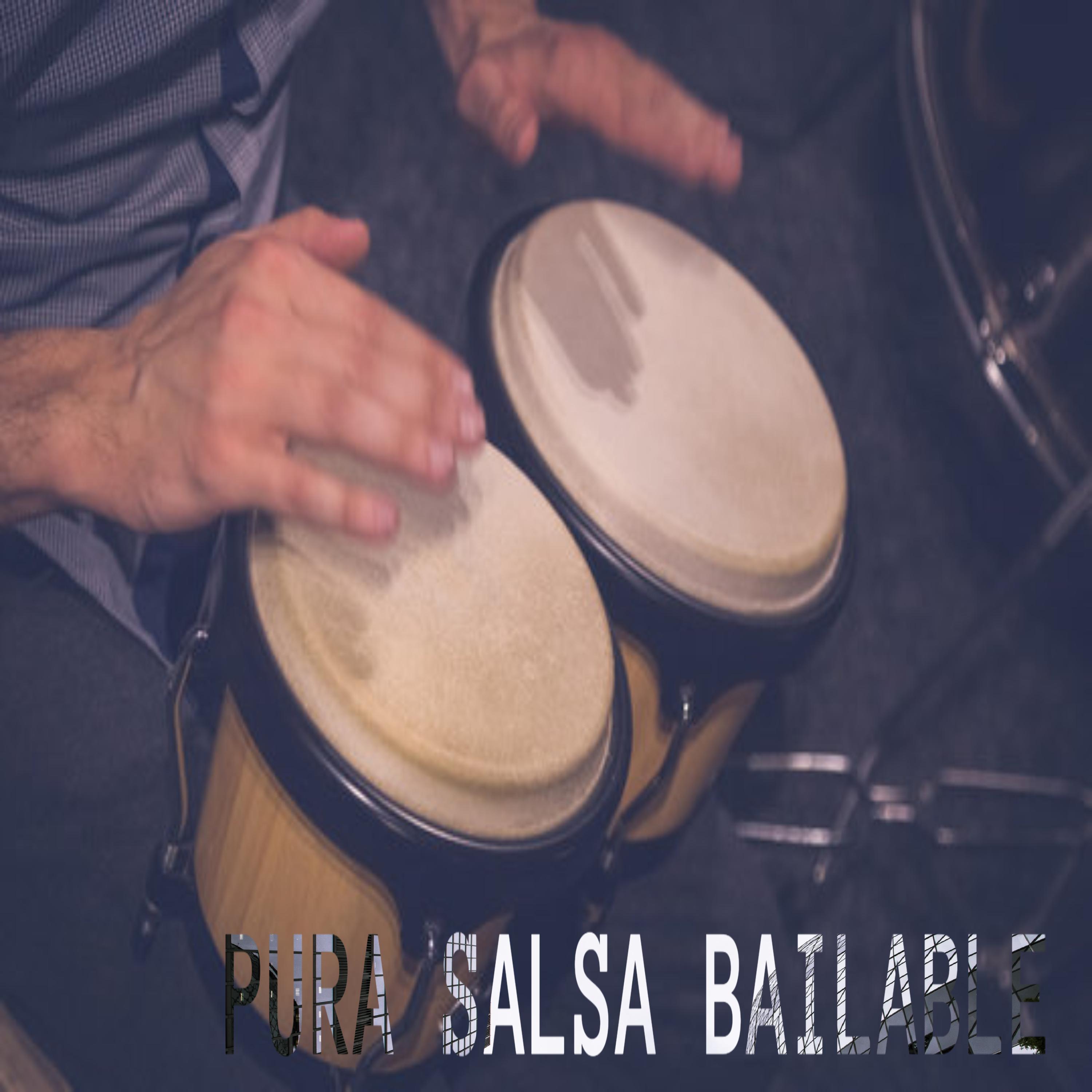Постер альбома Pura Salsa bailable