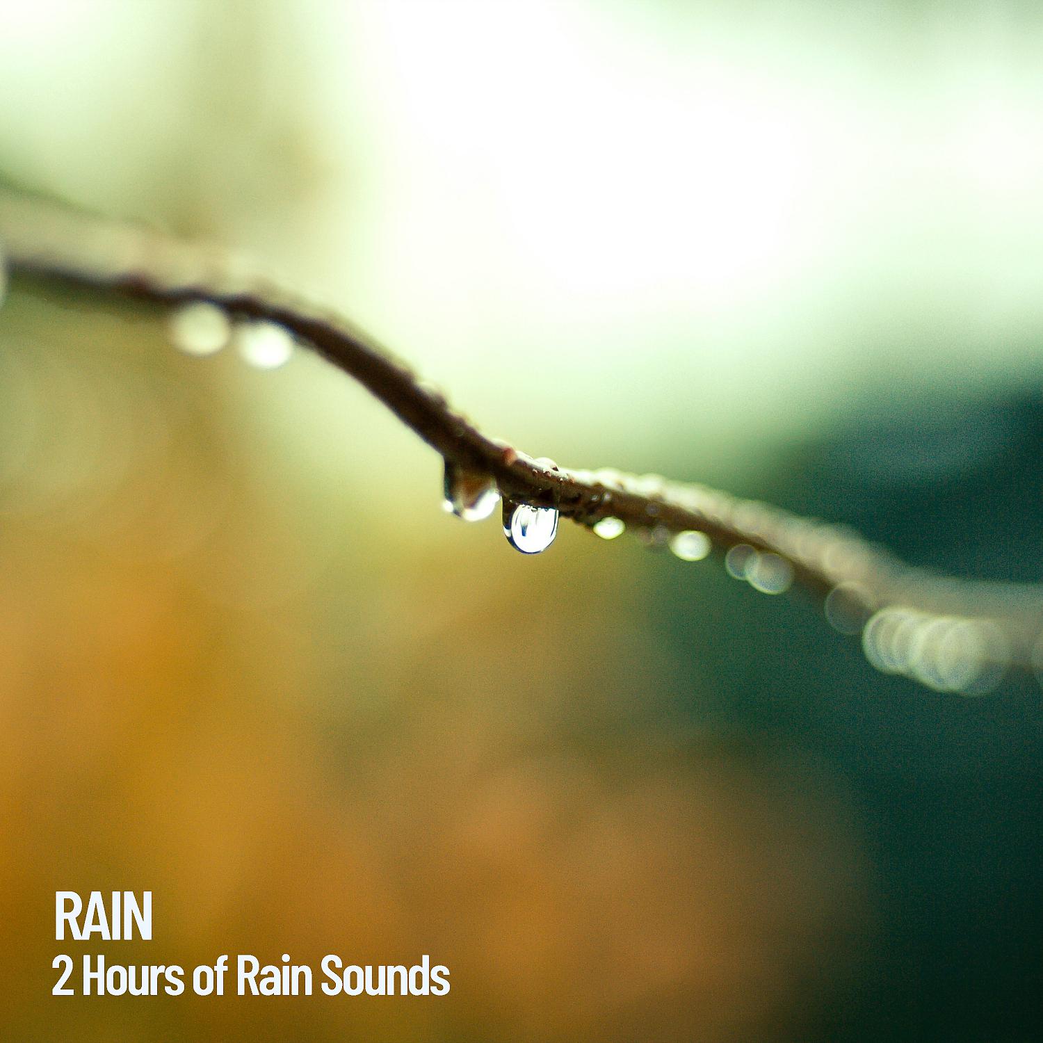 Постер альбома Rain: 2 Hours of Rain Sounds