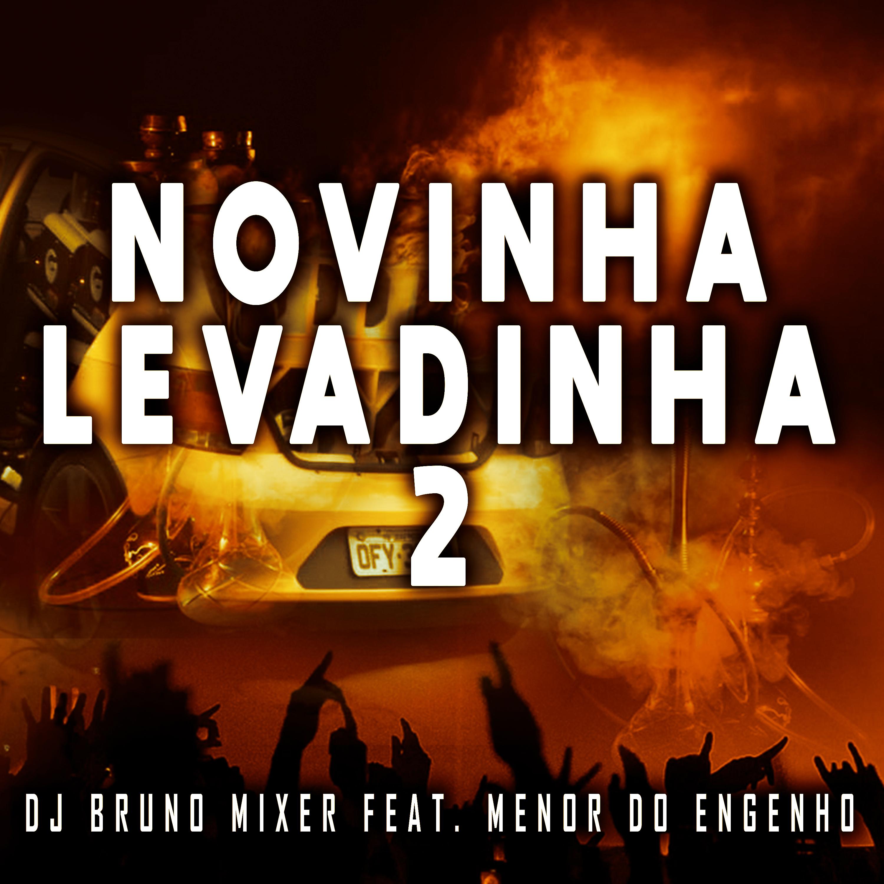 Постер альбома Novinha Levadinha 2