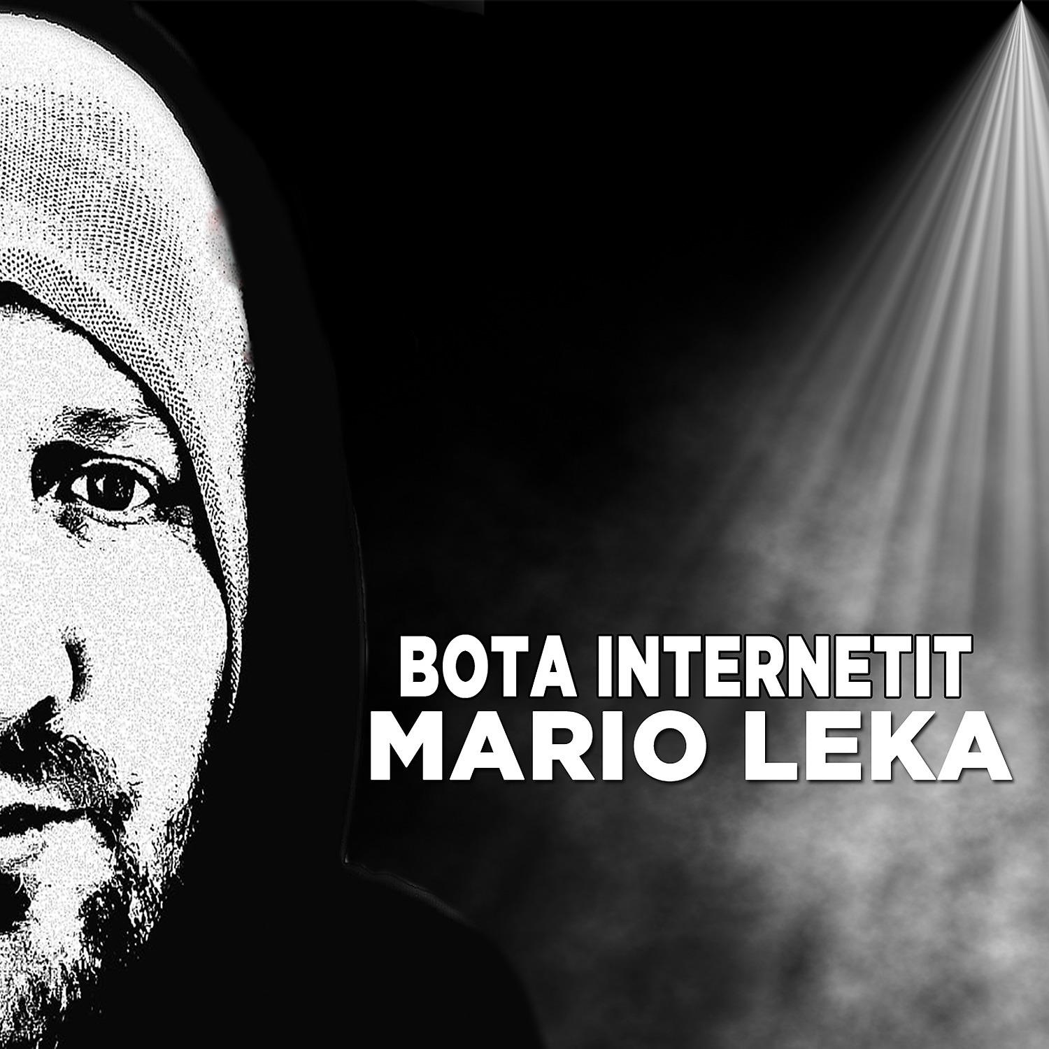 Постер альбома Bota internetit