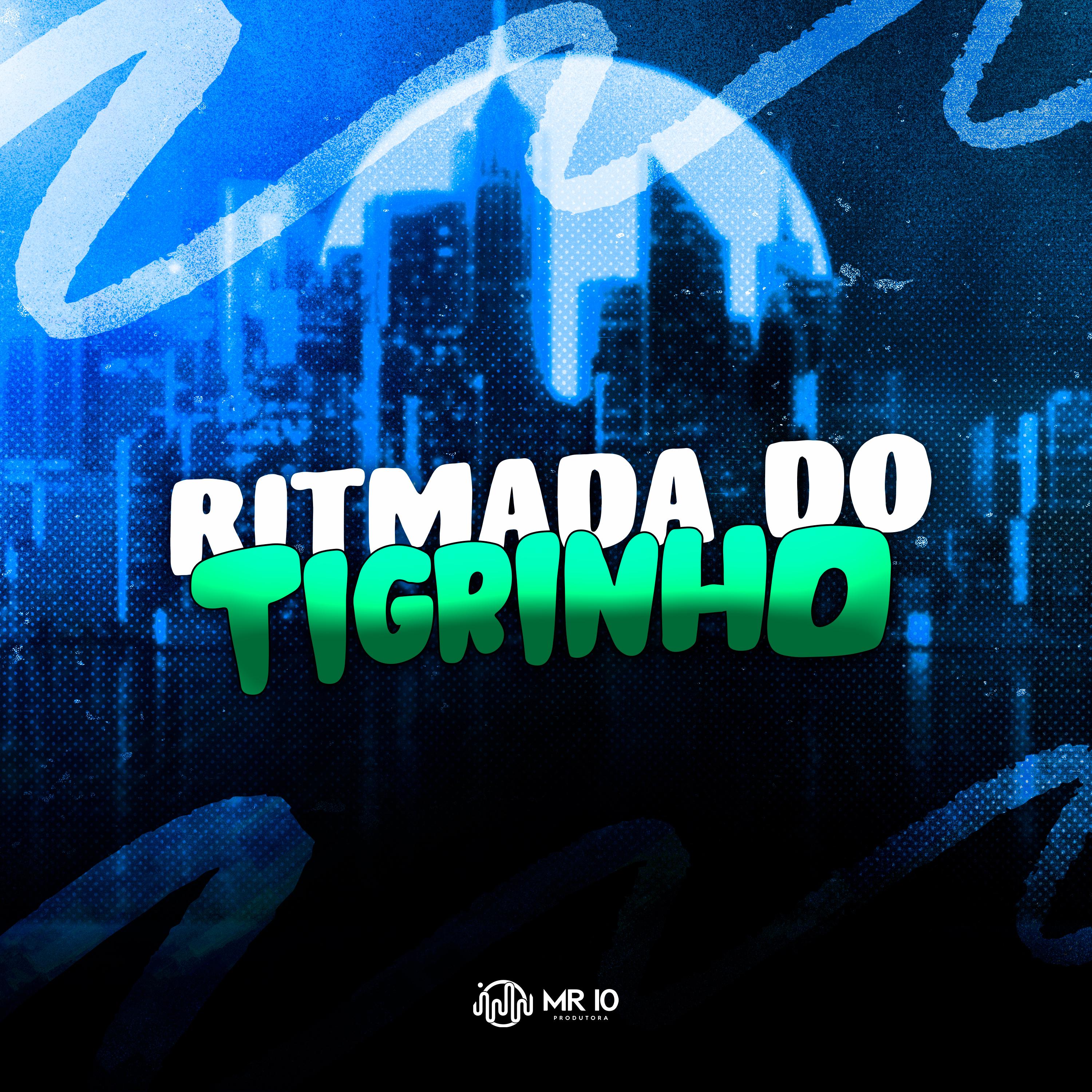 Постер альбома Ritmada do Tigrinho