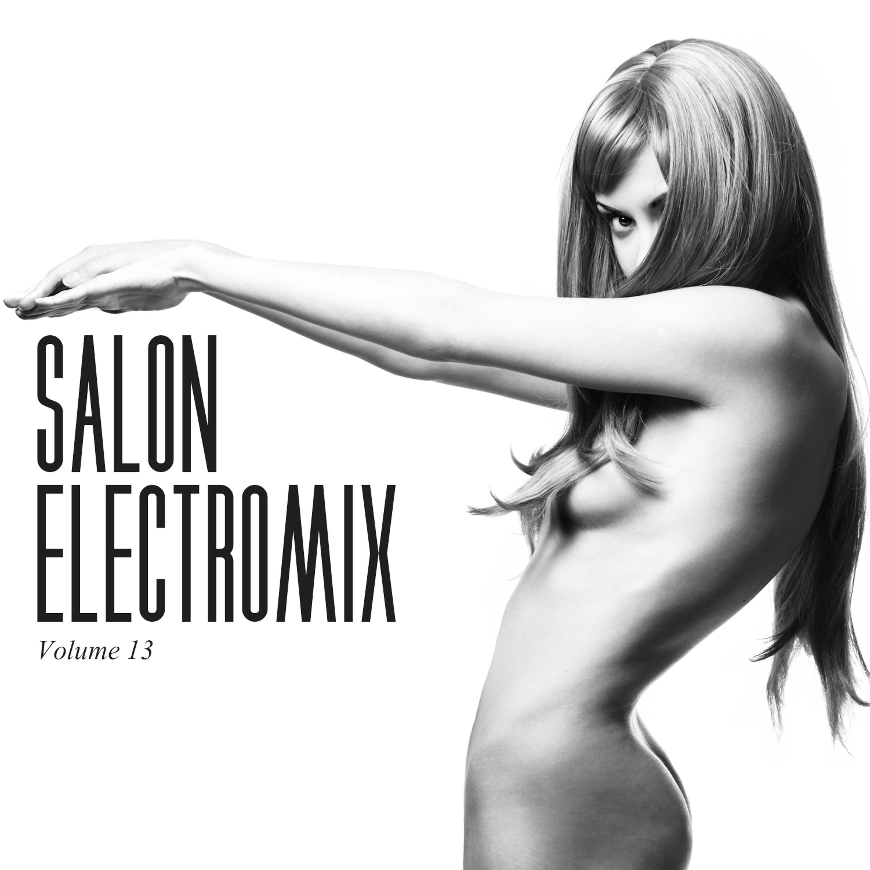 Постер альбома Salon Electromix, Vol. 13