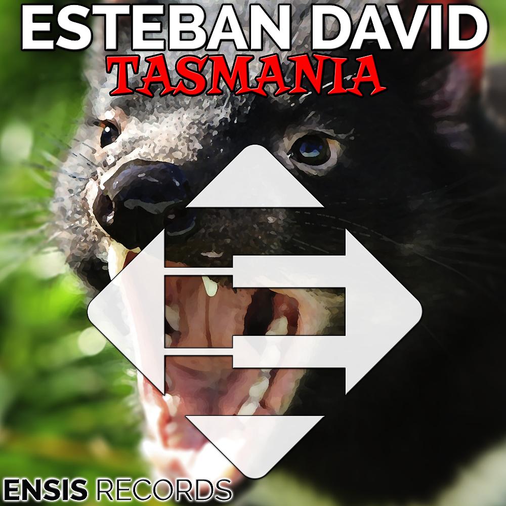 Постер альбома Tasmania