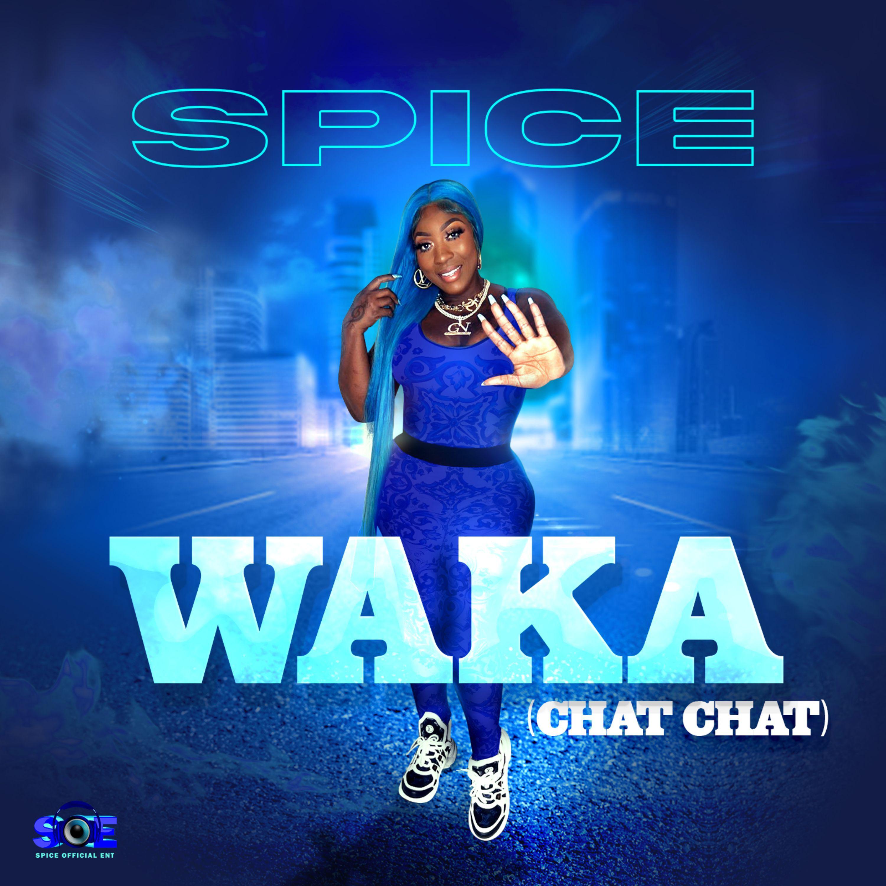 Постер альбома WAKA (Chat Chat)