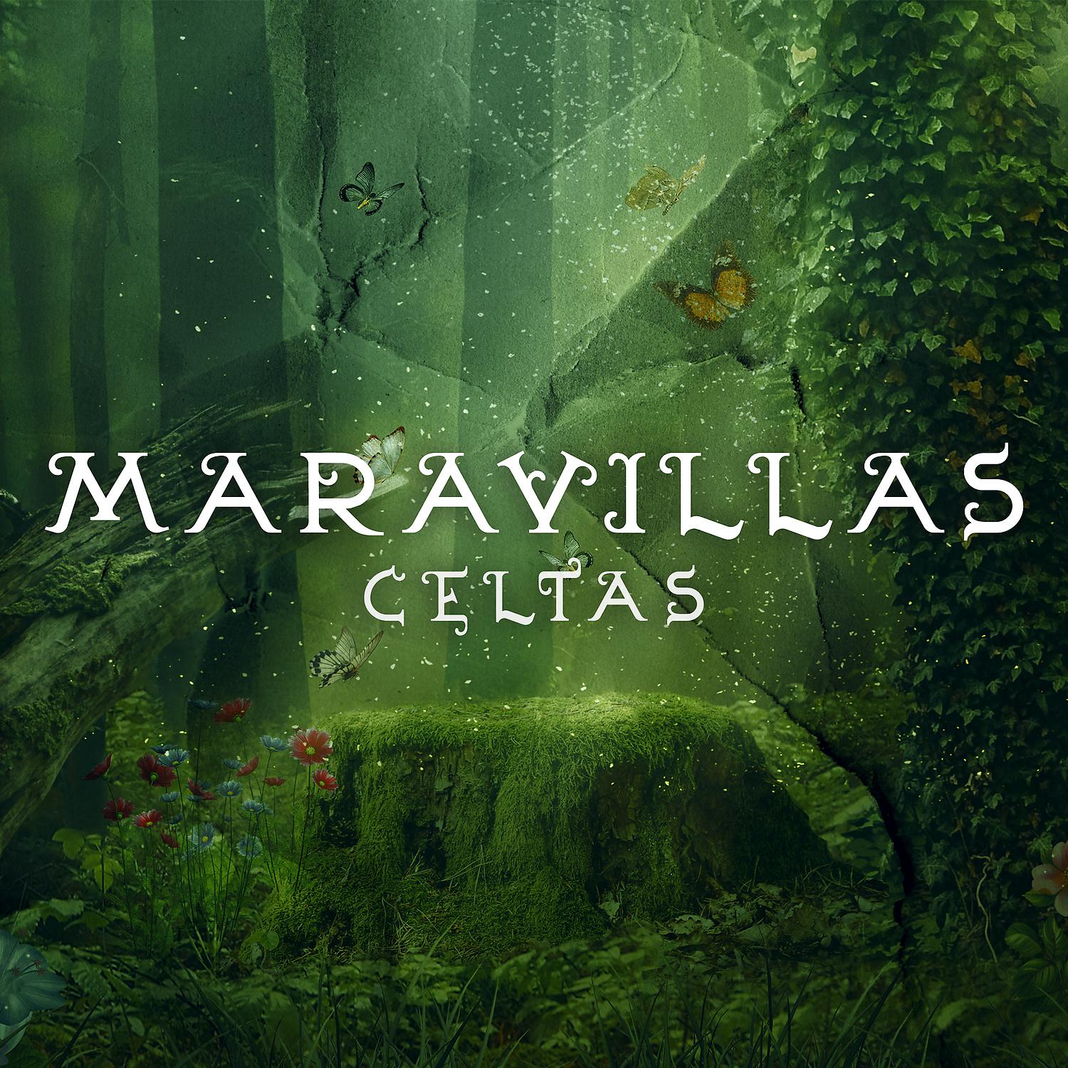 Постер альбома Maravillas Celtas: Meditacion sobre en el Arpa Celta