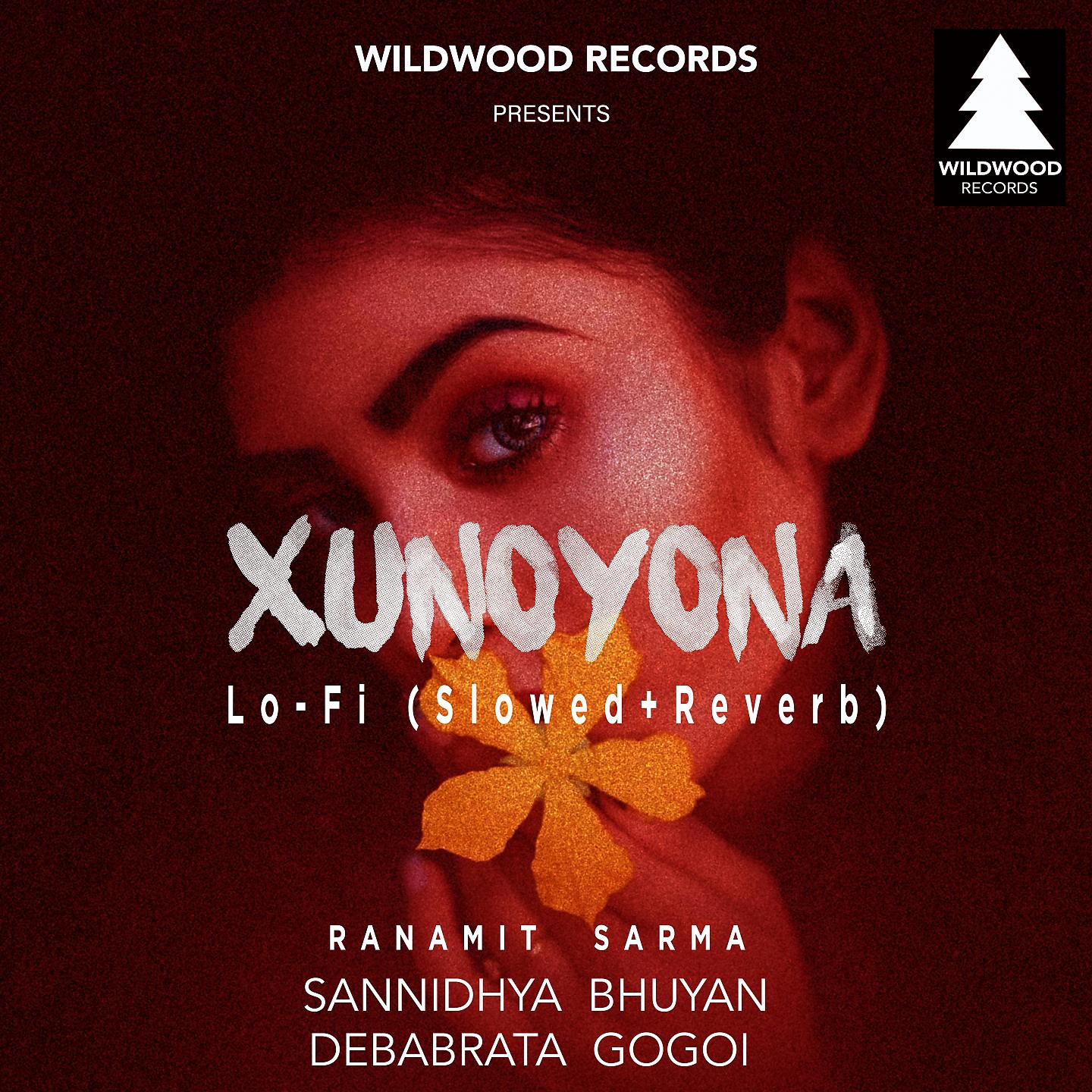 Постер альбома Xunoyona Lo-Fi