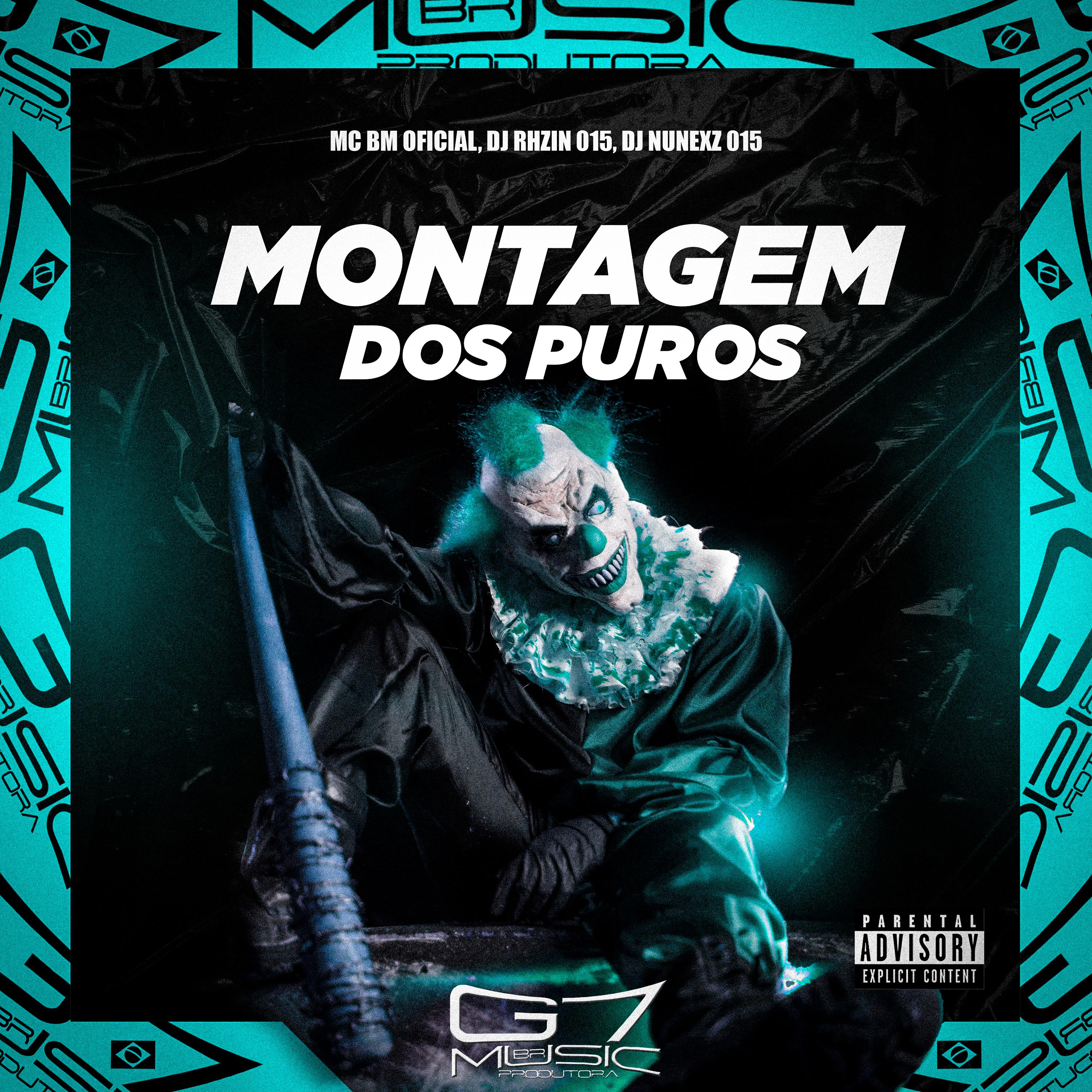 Постер альбома Montagem dos Puros