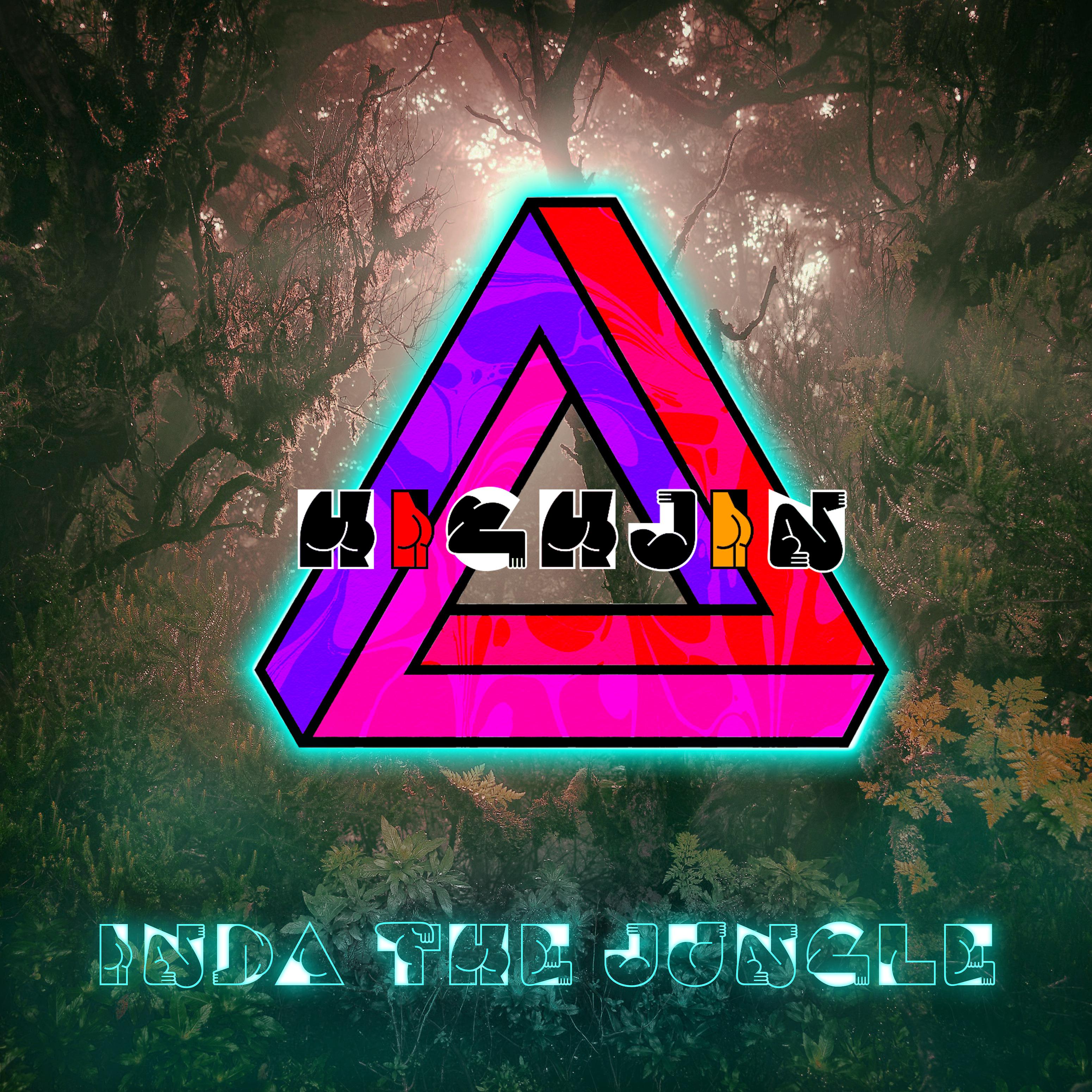 Постер альбома Inda the Jungle